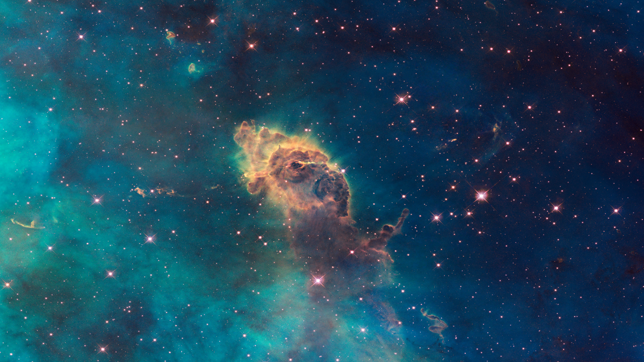 STAR #5
