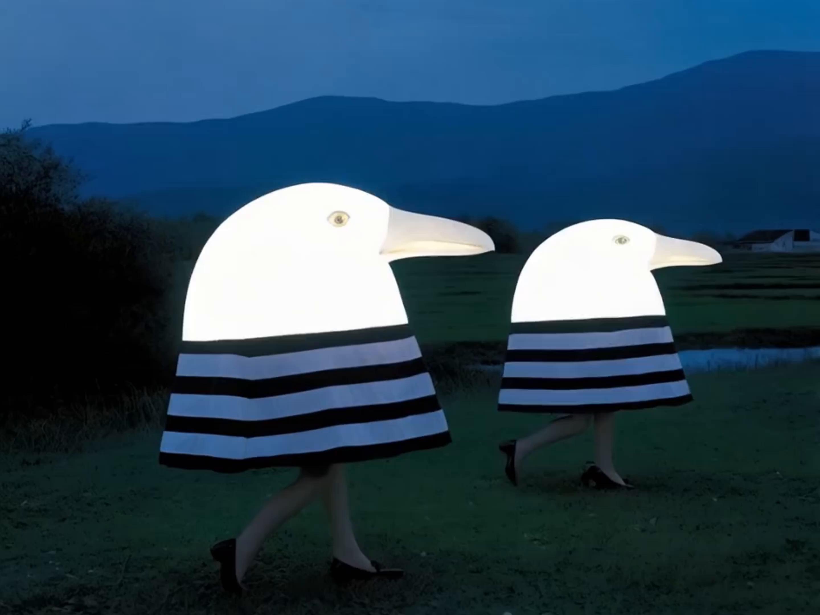 The Ornithological Event