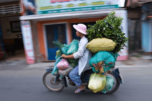 Bikes of Burden #127. Vegetables.