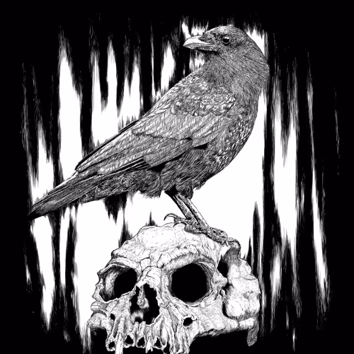 The Crow