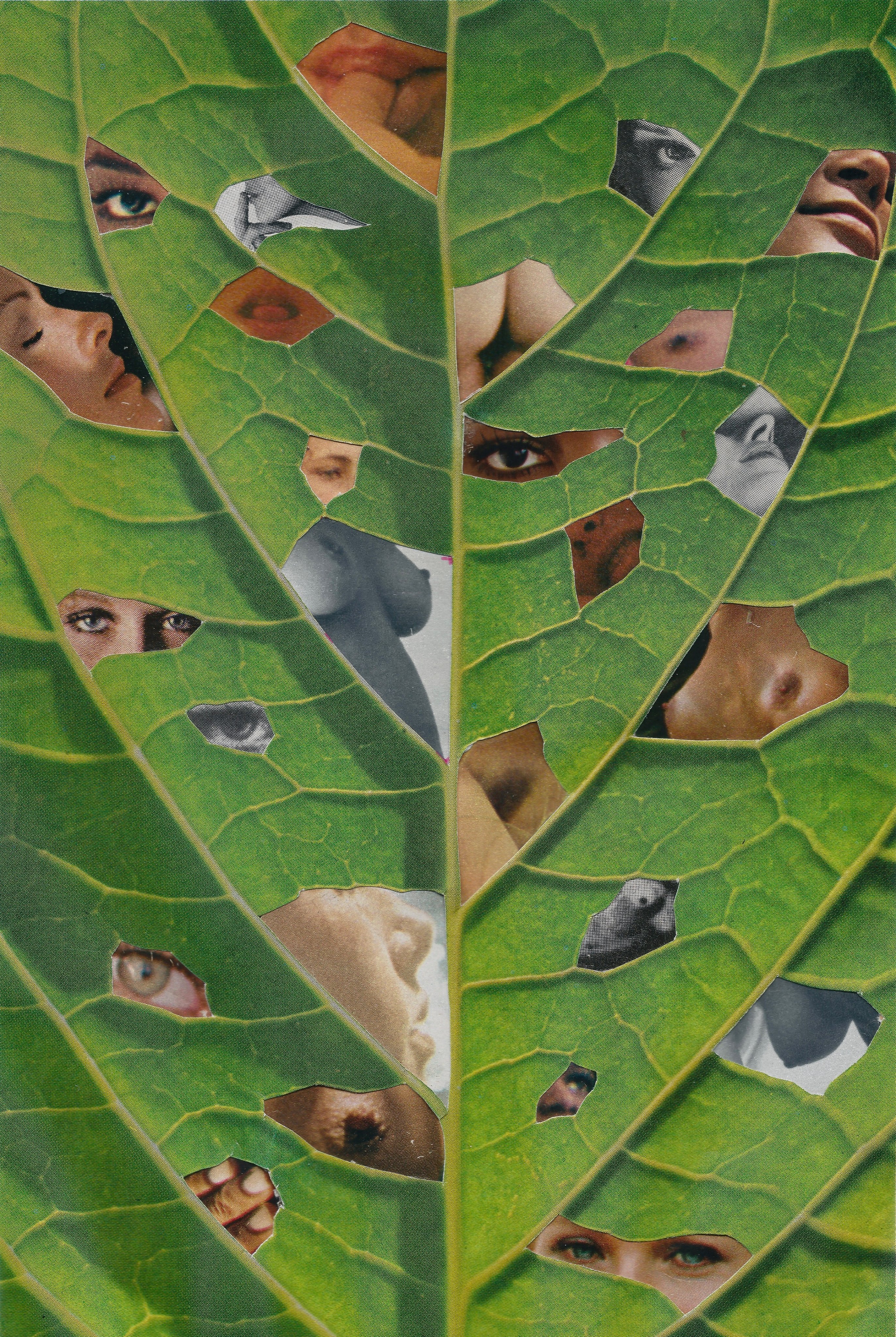 THROUGH THE STOMATA