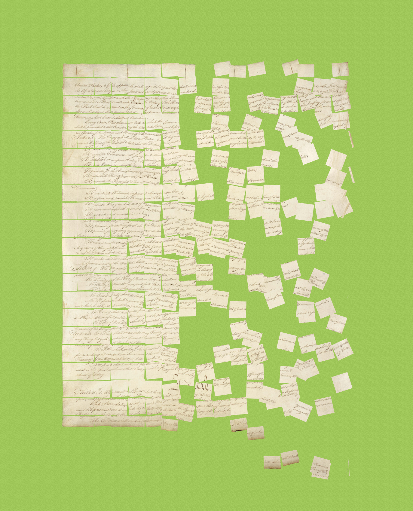 Constitution Fractionalized #442