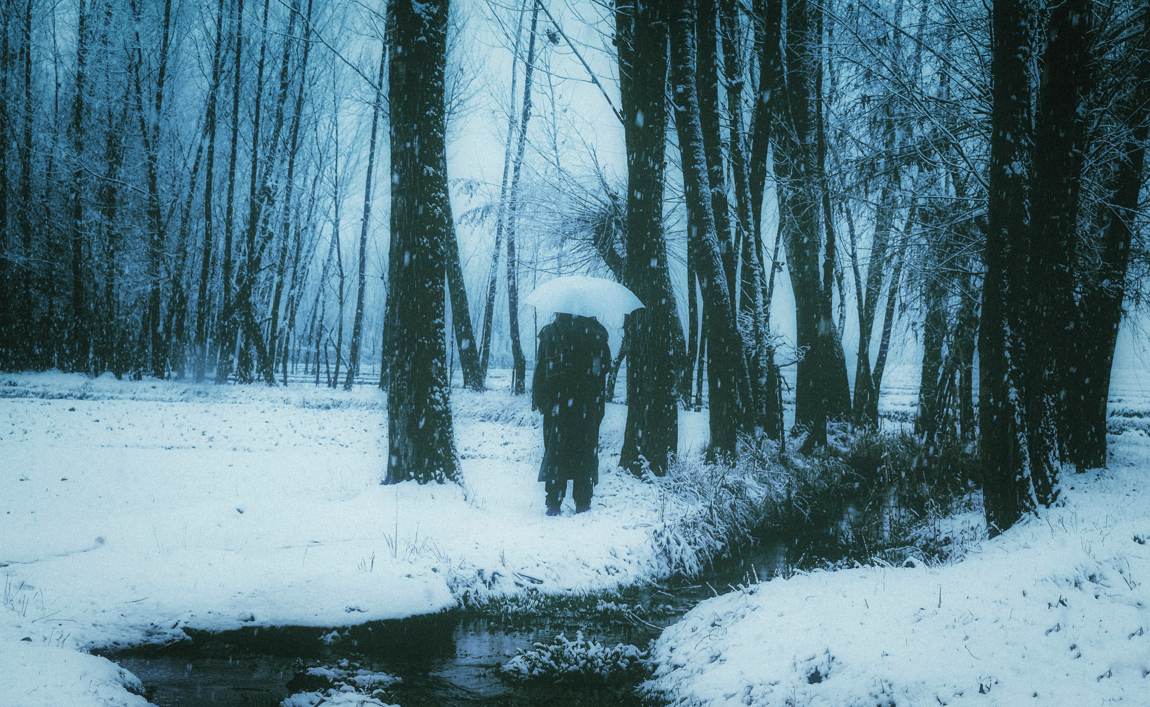 "An ode to isolation" 