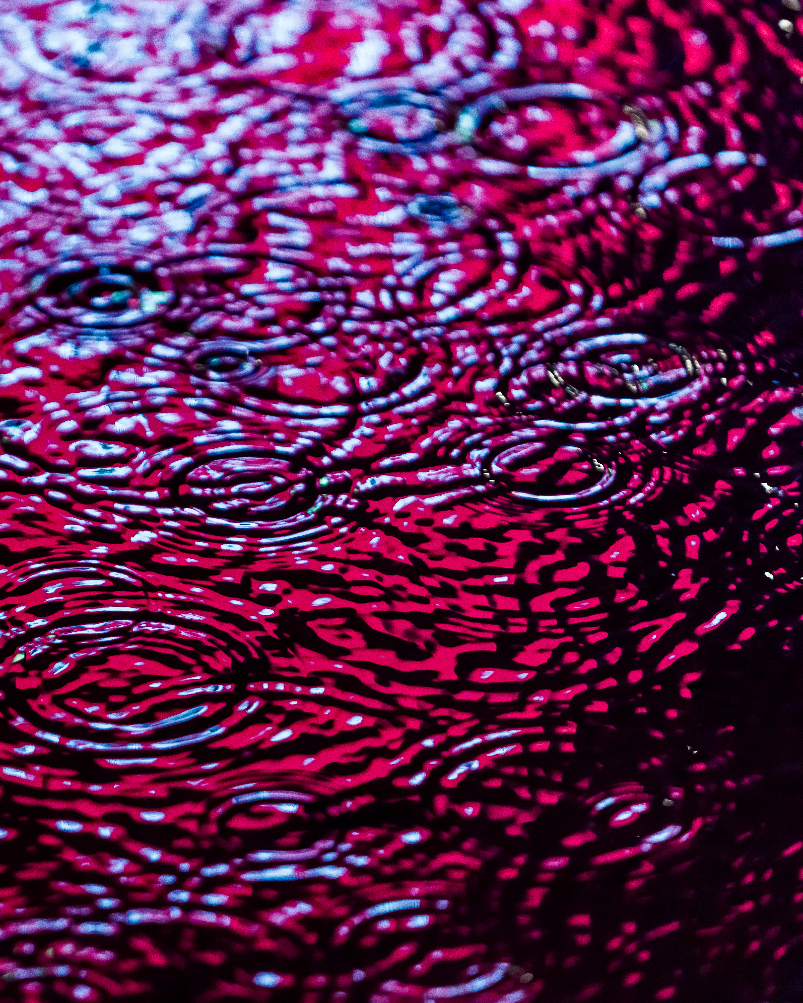 DRIP #120