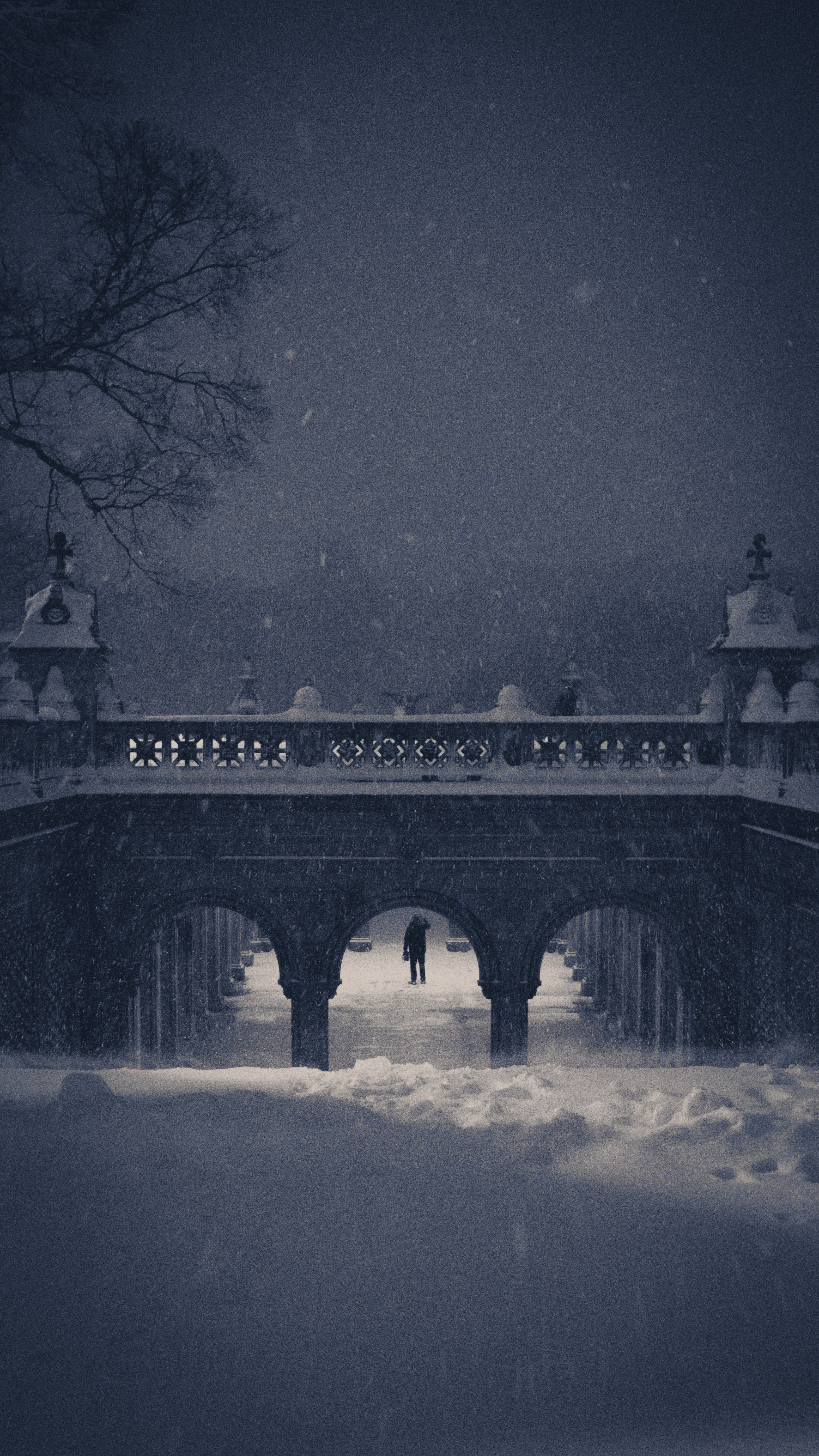 Snow Days In NYC - 31