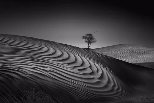 In To The Light 7/24