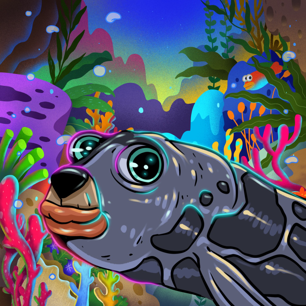 Gray Seal Pepe