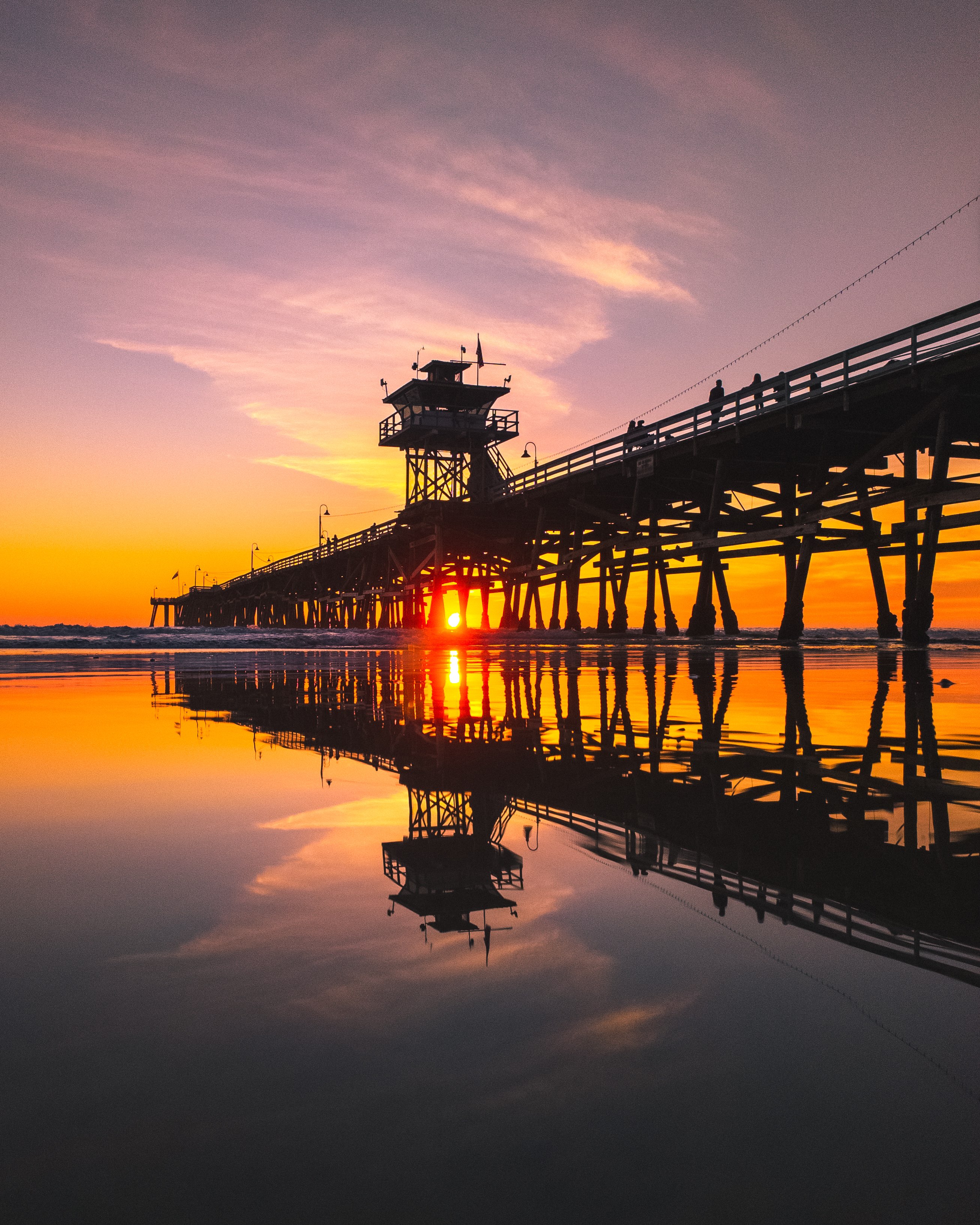 CS Community Collection #536