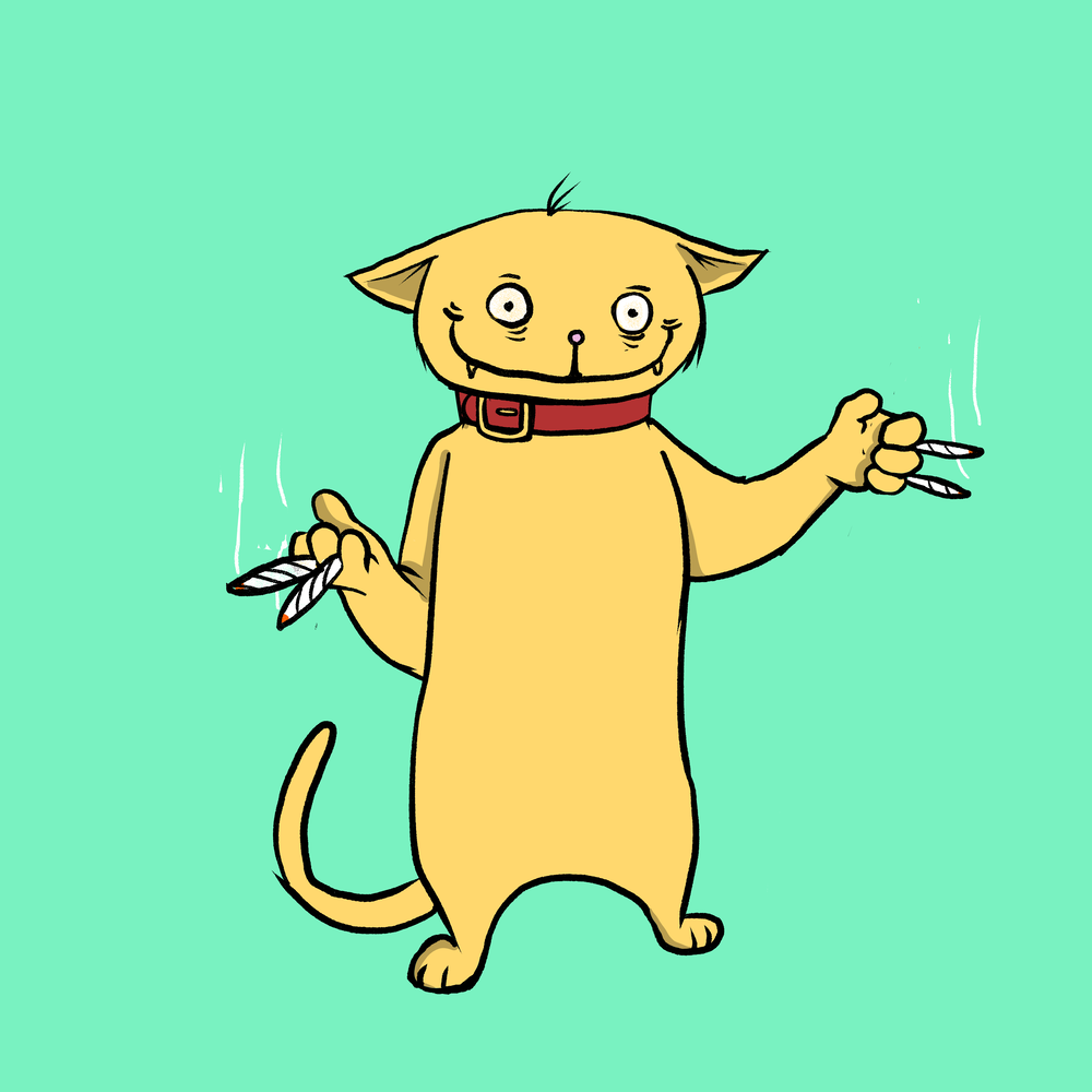 Blazed Cat #4761