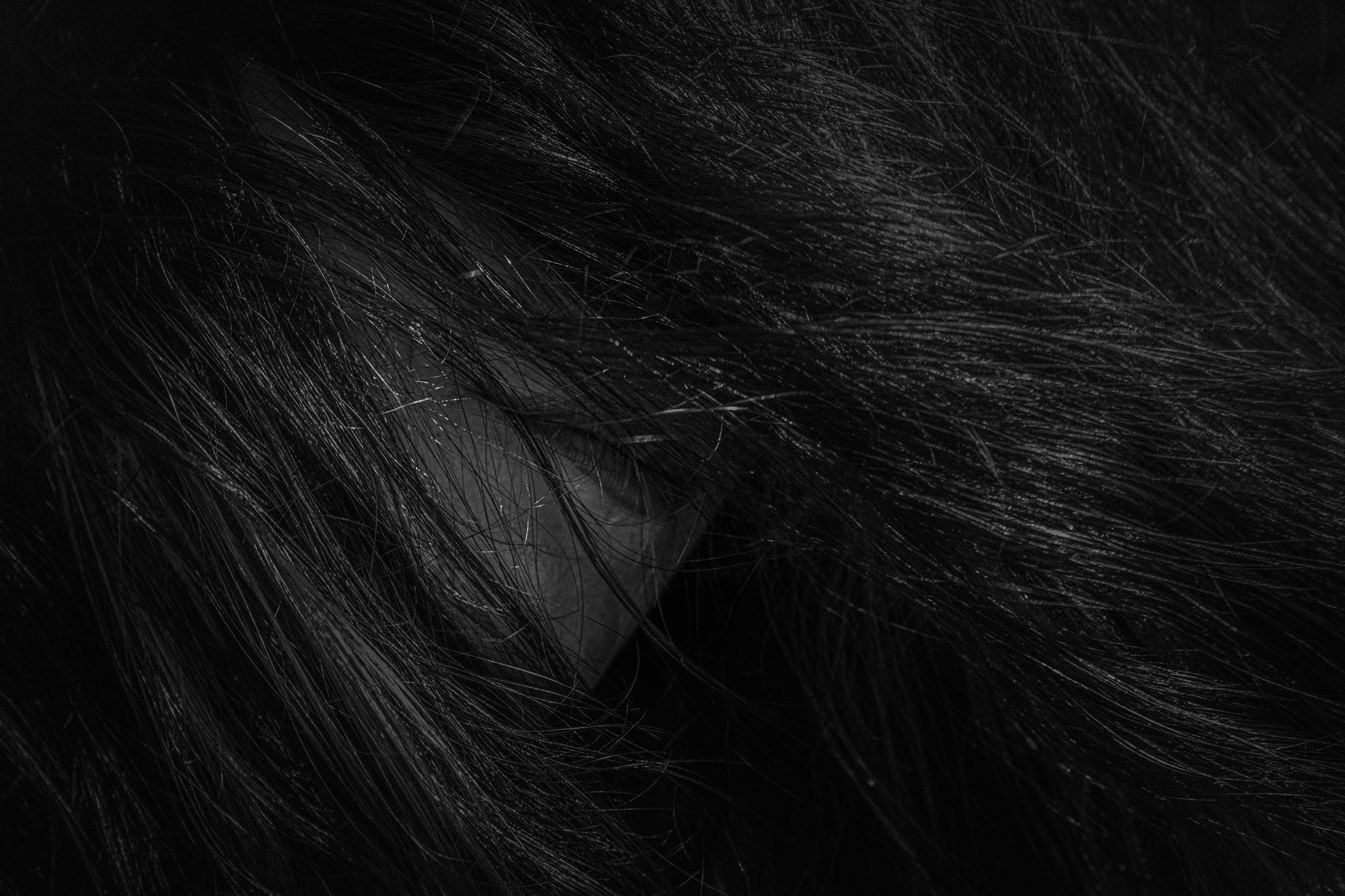 The Woman who hid her face from The World.