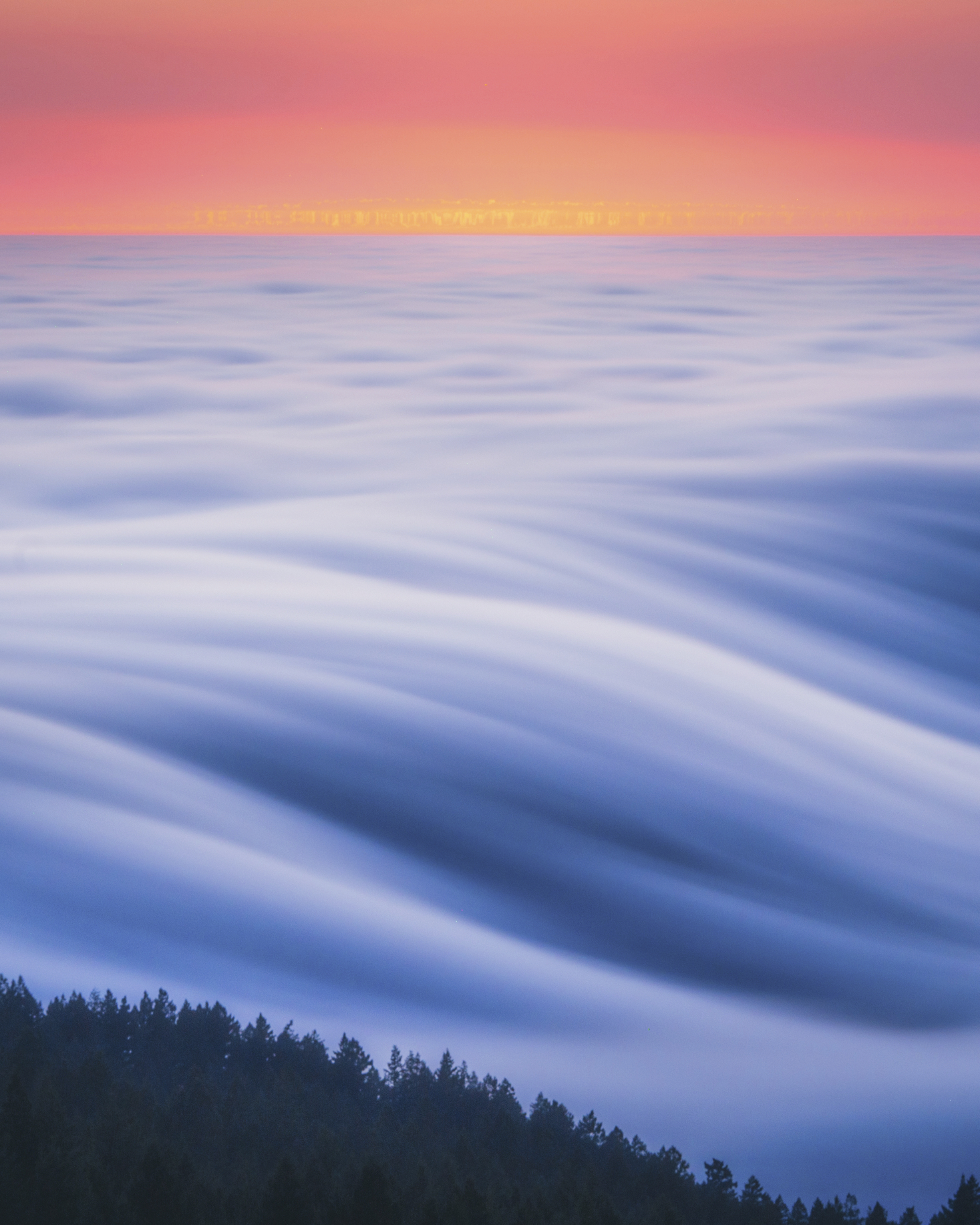 A Symphony of Fog #45