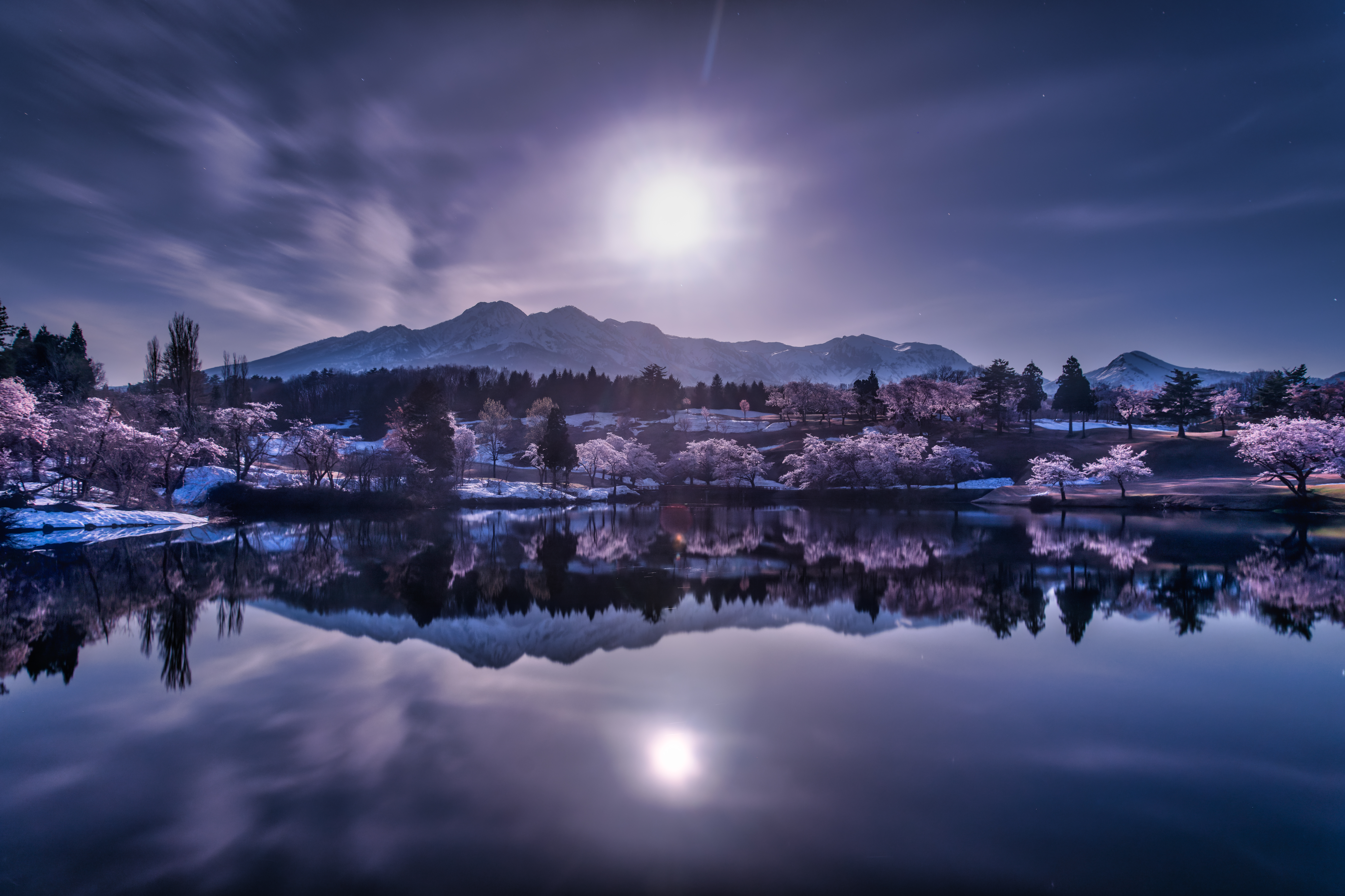 Under the moonlight