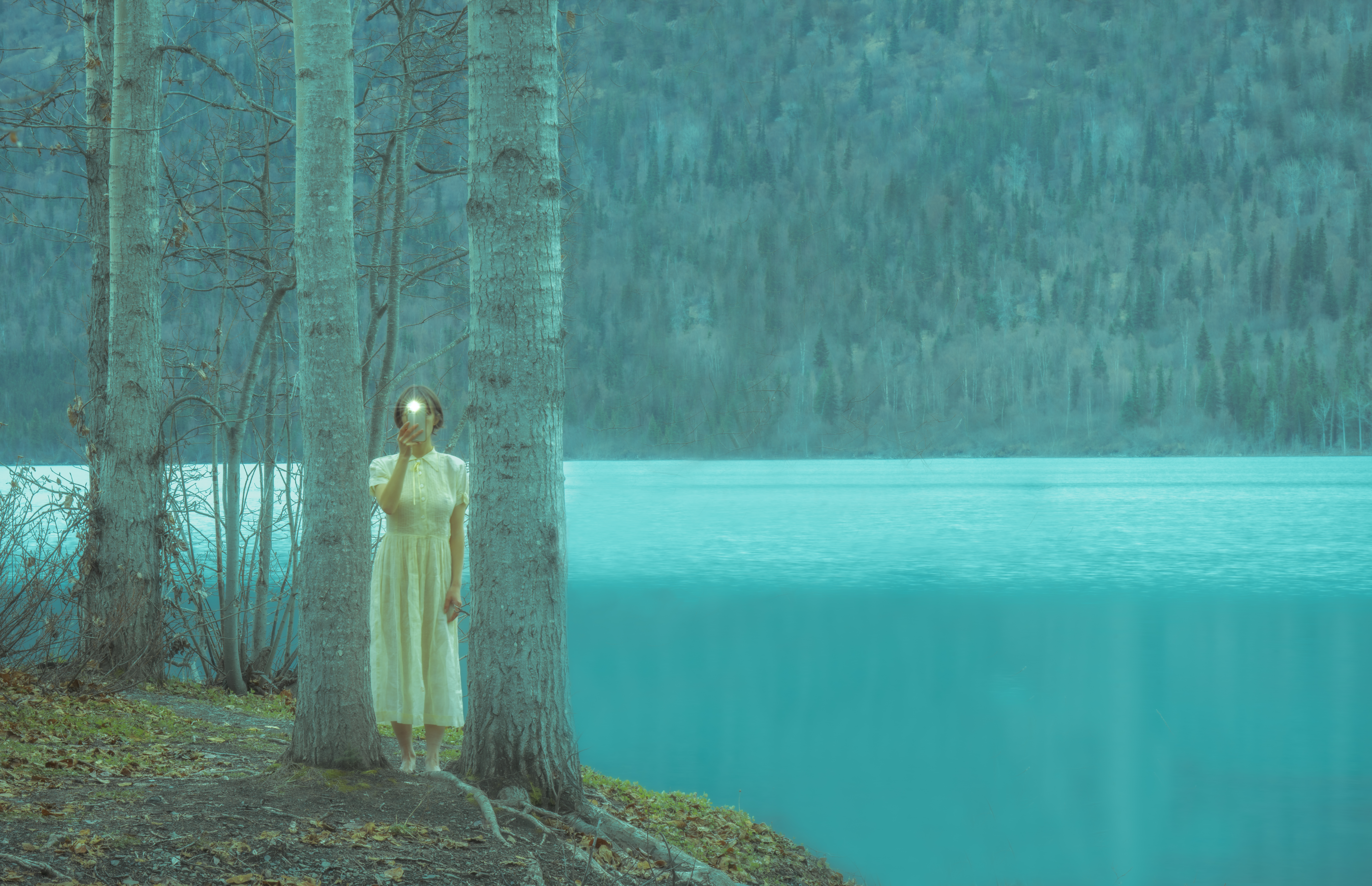 Evolution of the Eye