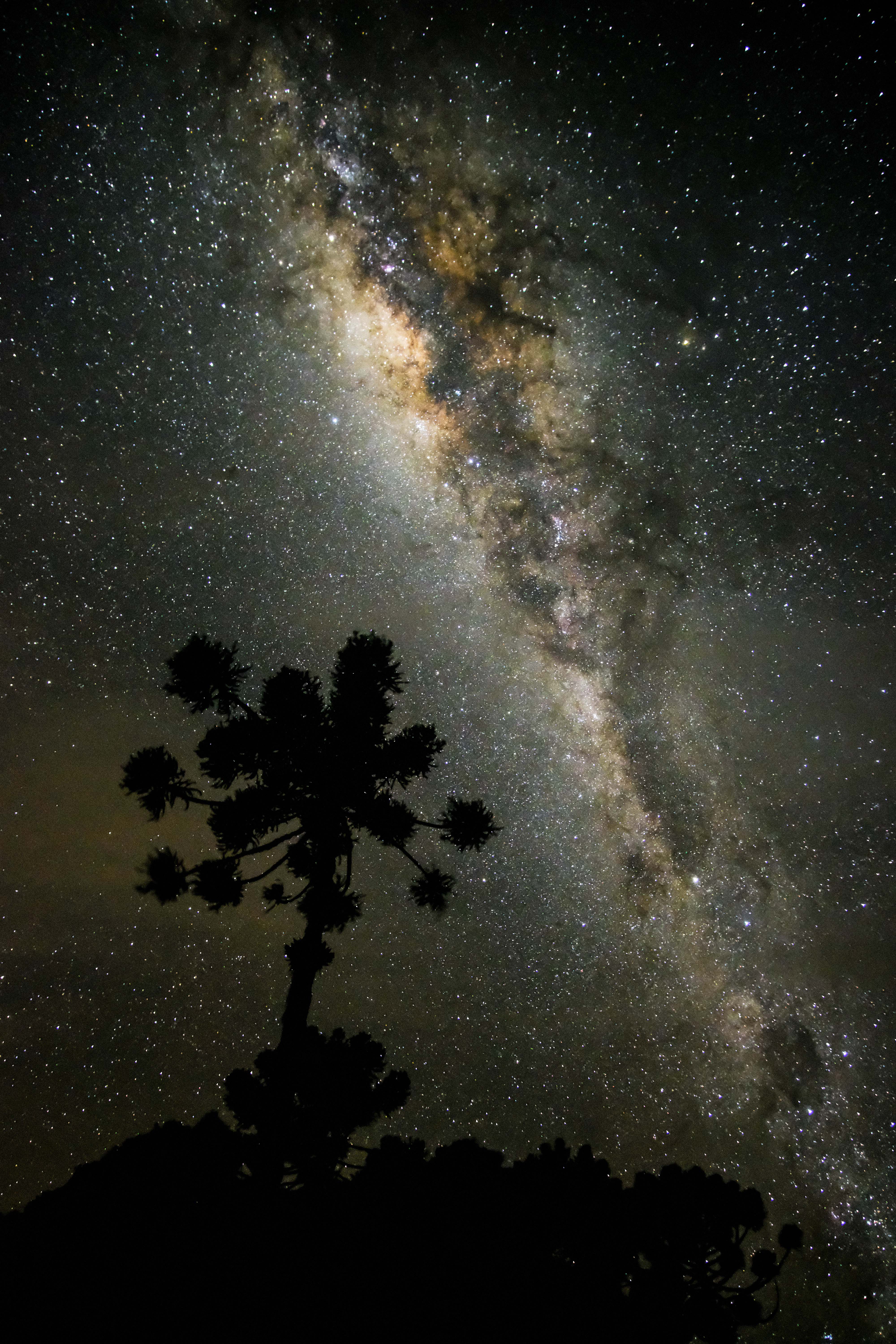 Night Sky #2