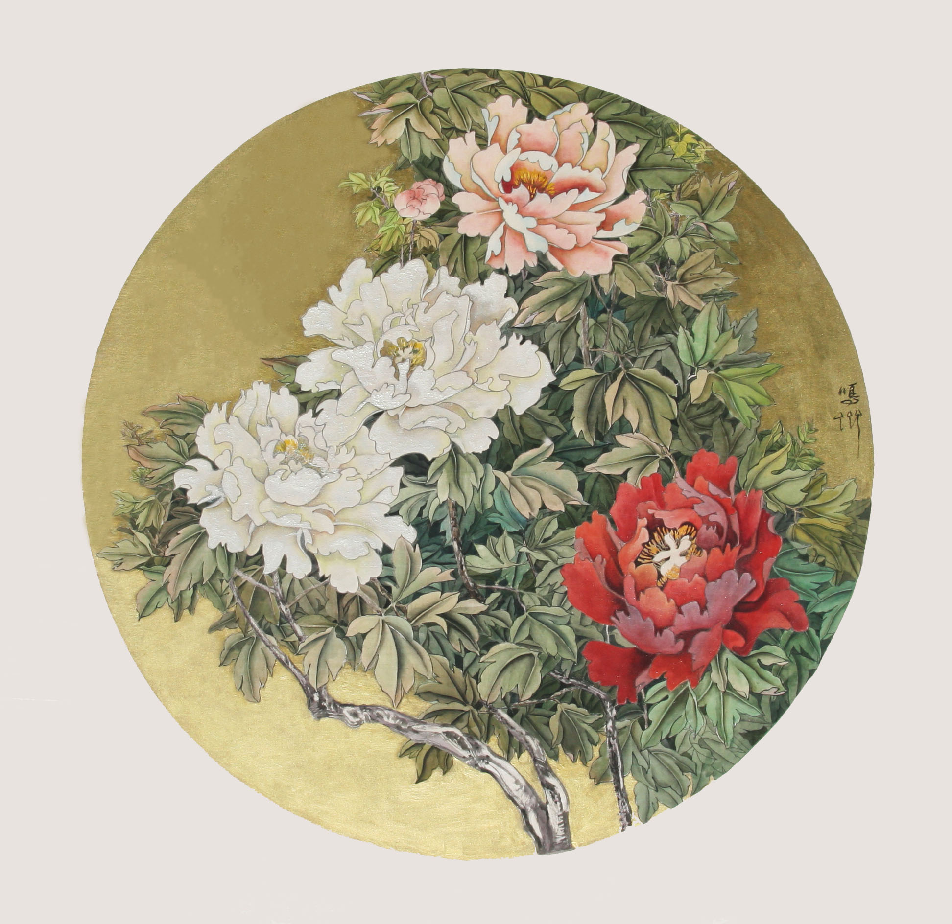 Peonies do not vie for spring’s favor, yet hold a beauty that cities admire