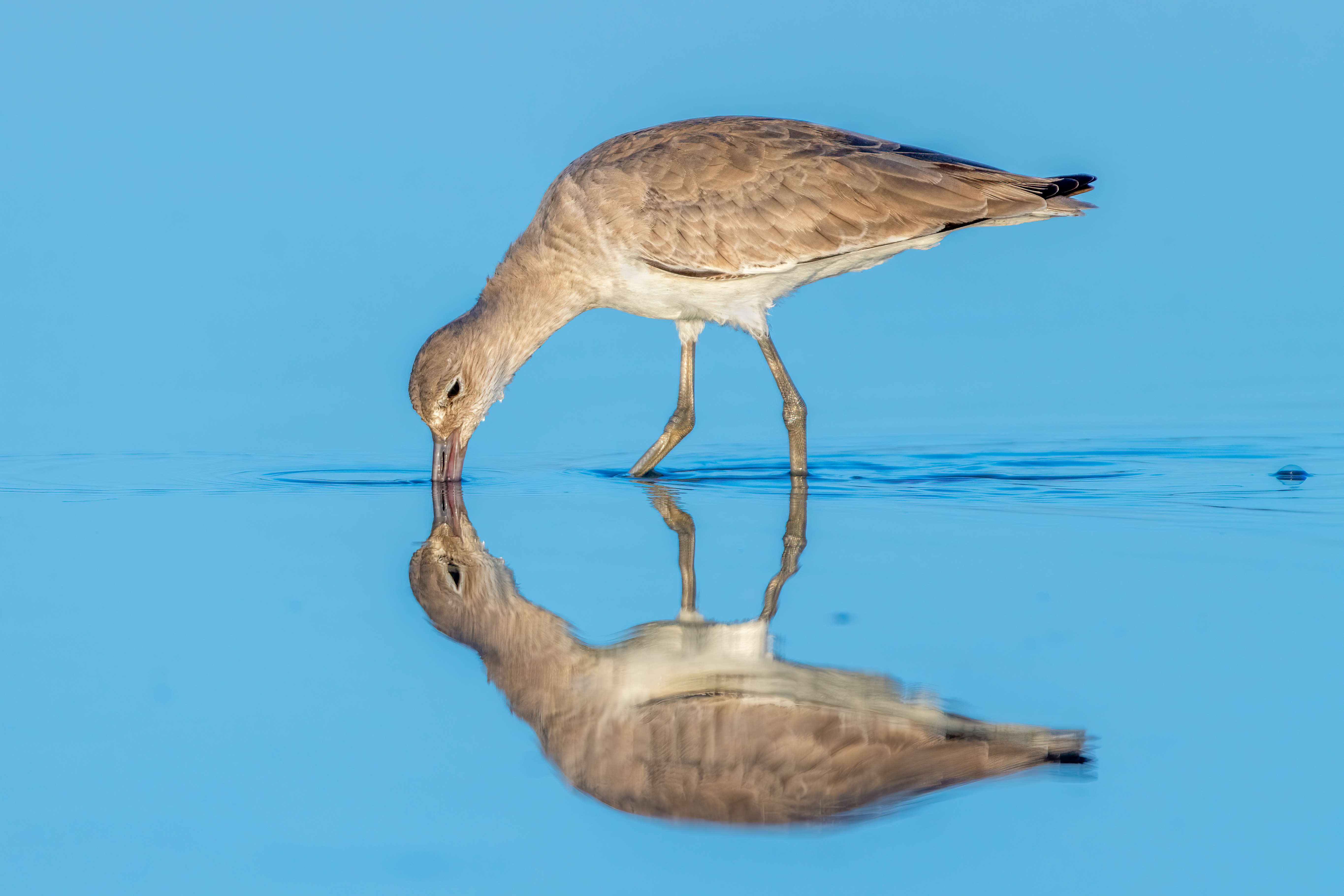 Seeing Double