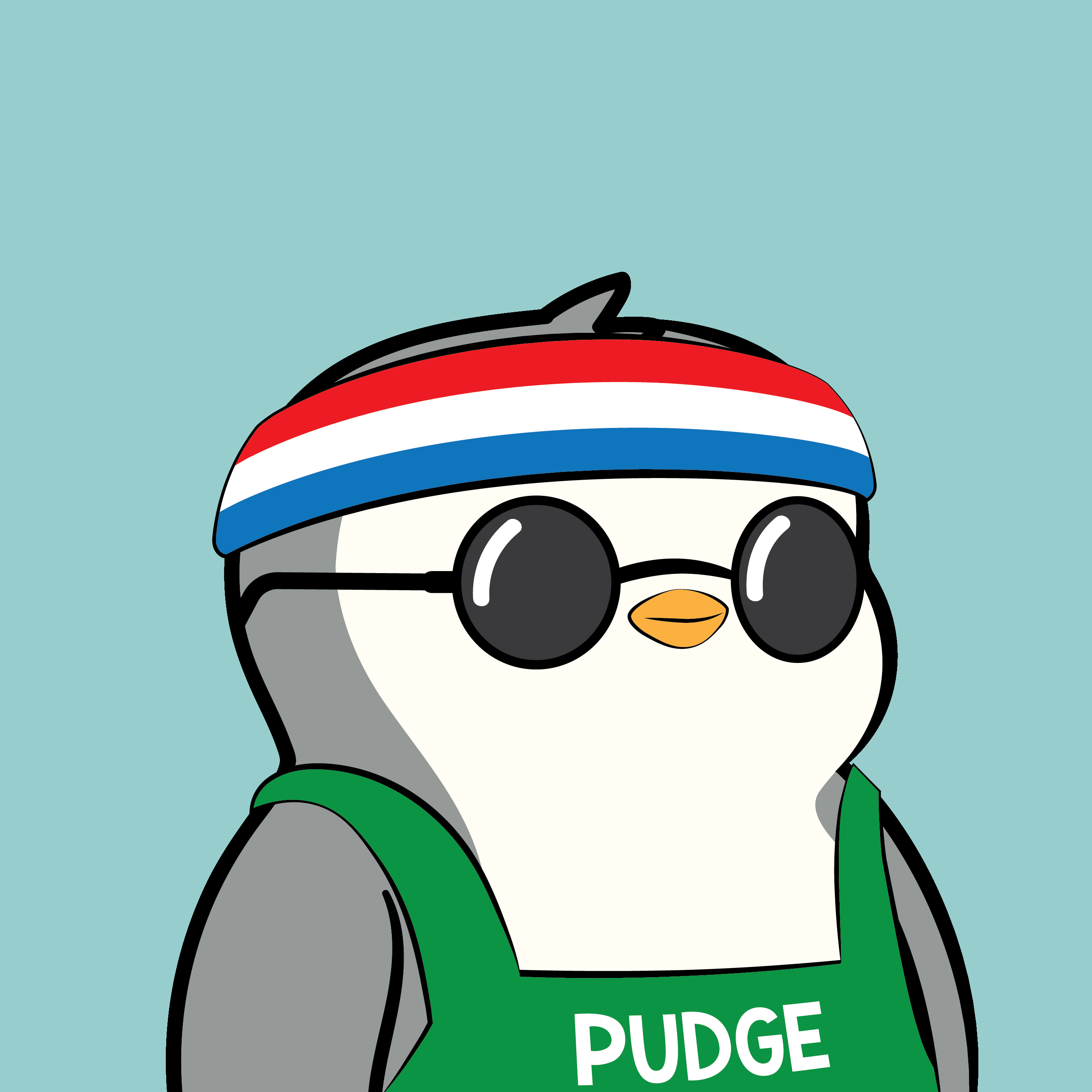 Pudgy #4670