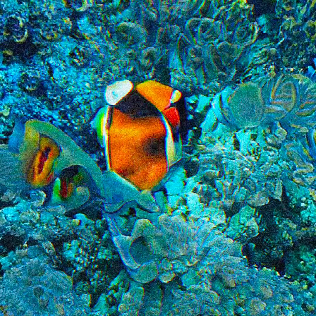 Belowsubconscious - dive