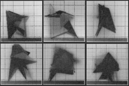 Chronophotograph 74