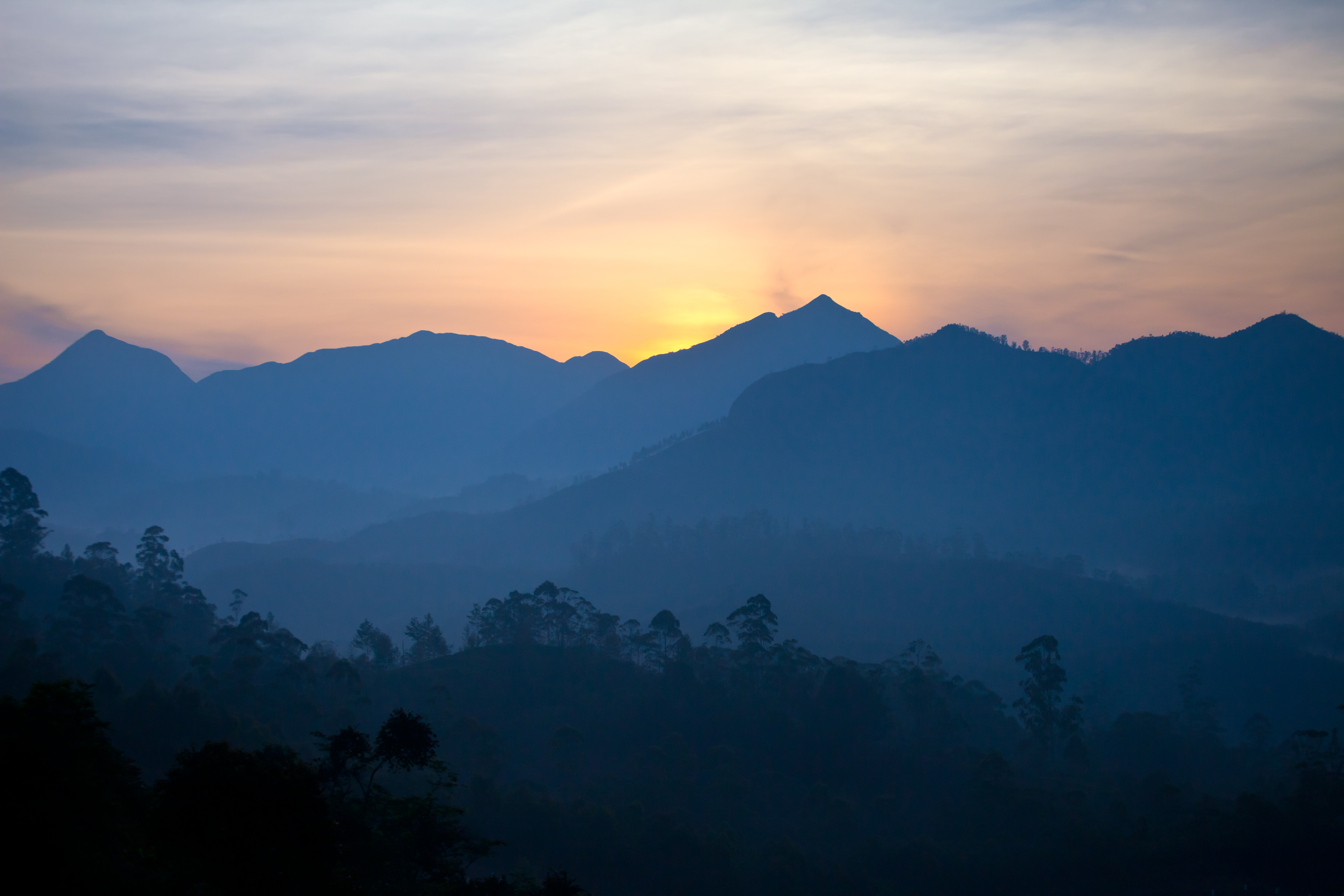 The Glory of Nature: TGN-005