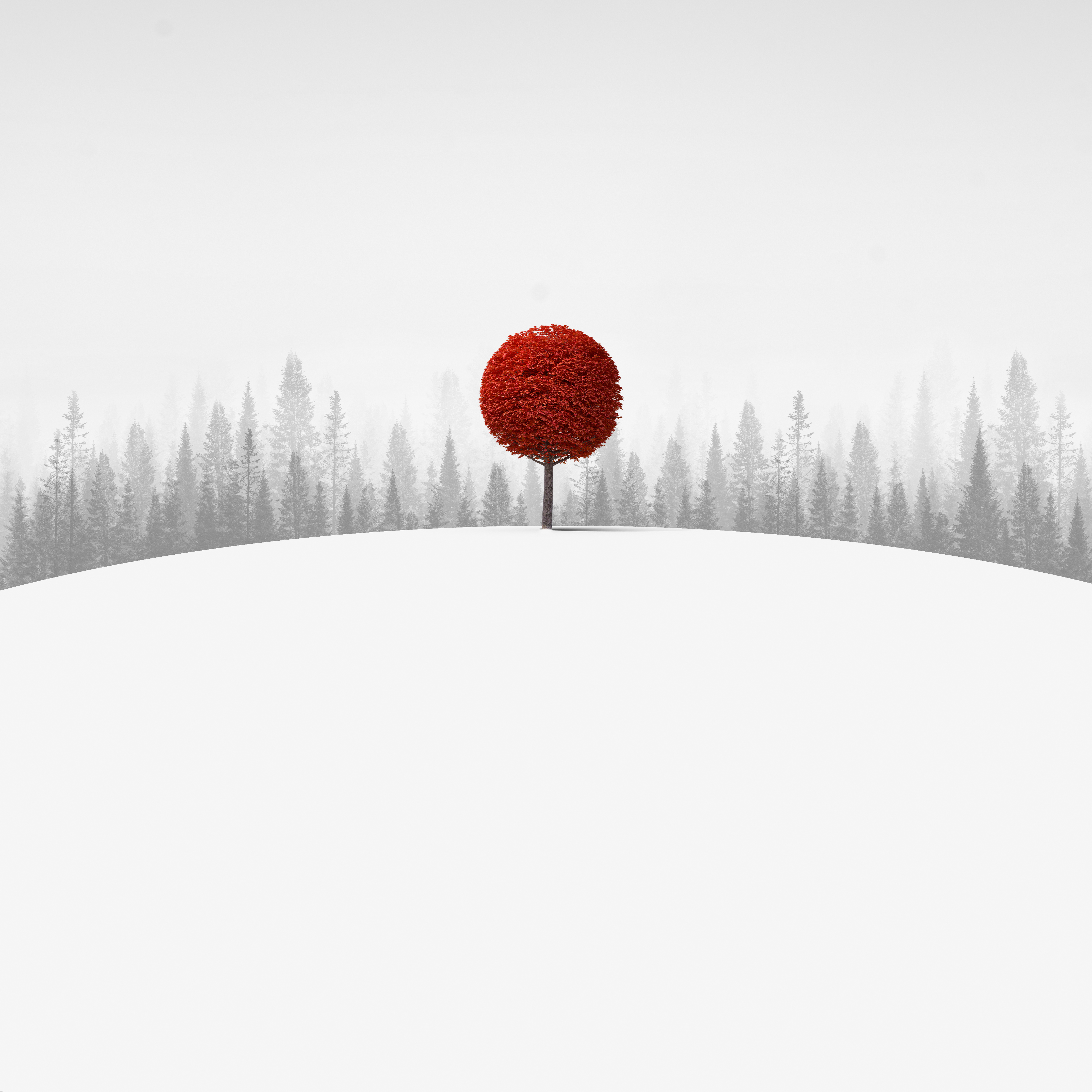 Stand Out
