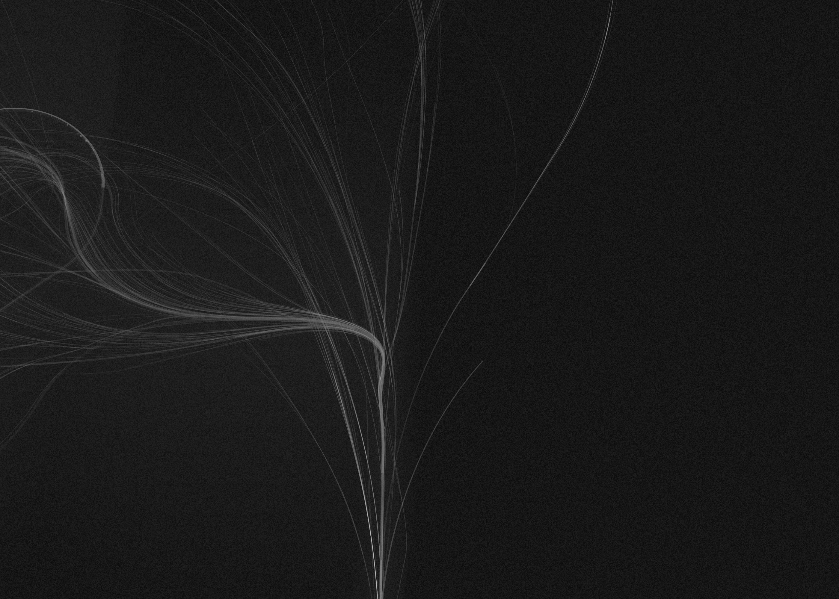 Lumens #202