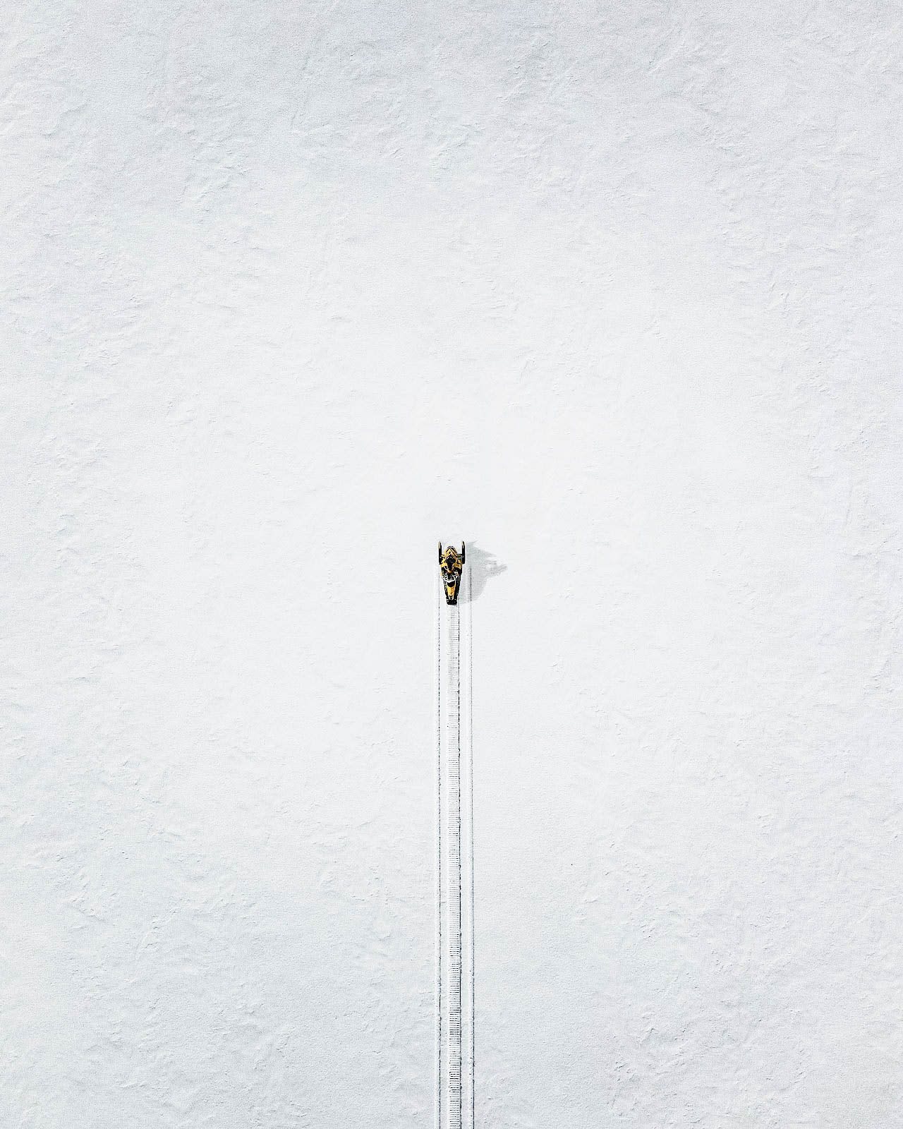 Frozen Dreams #14