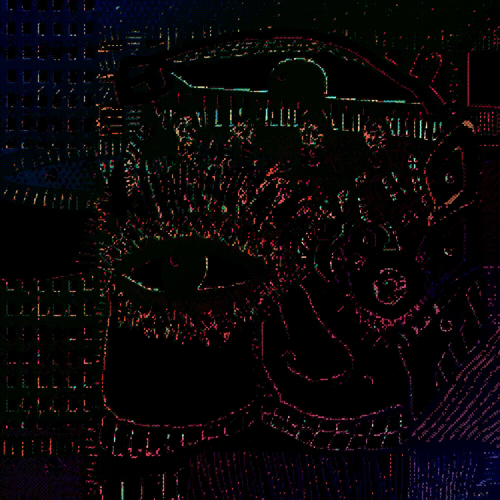 Sight