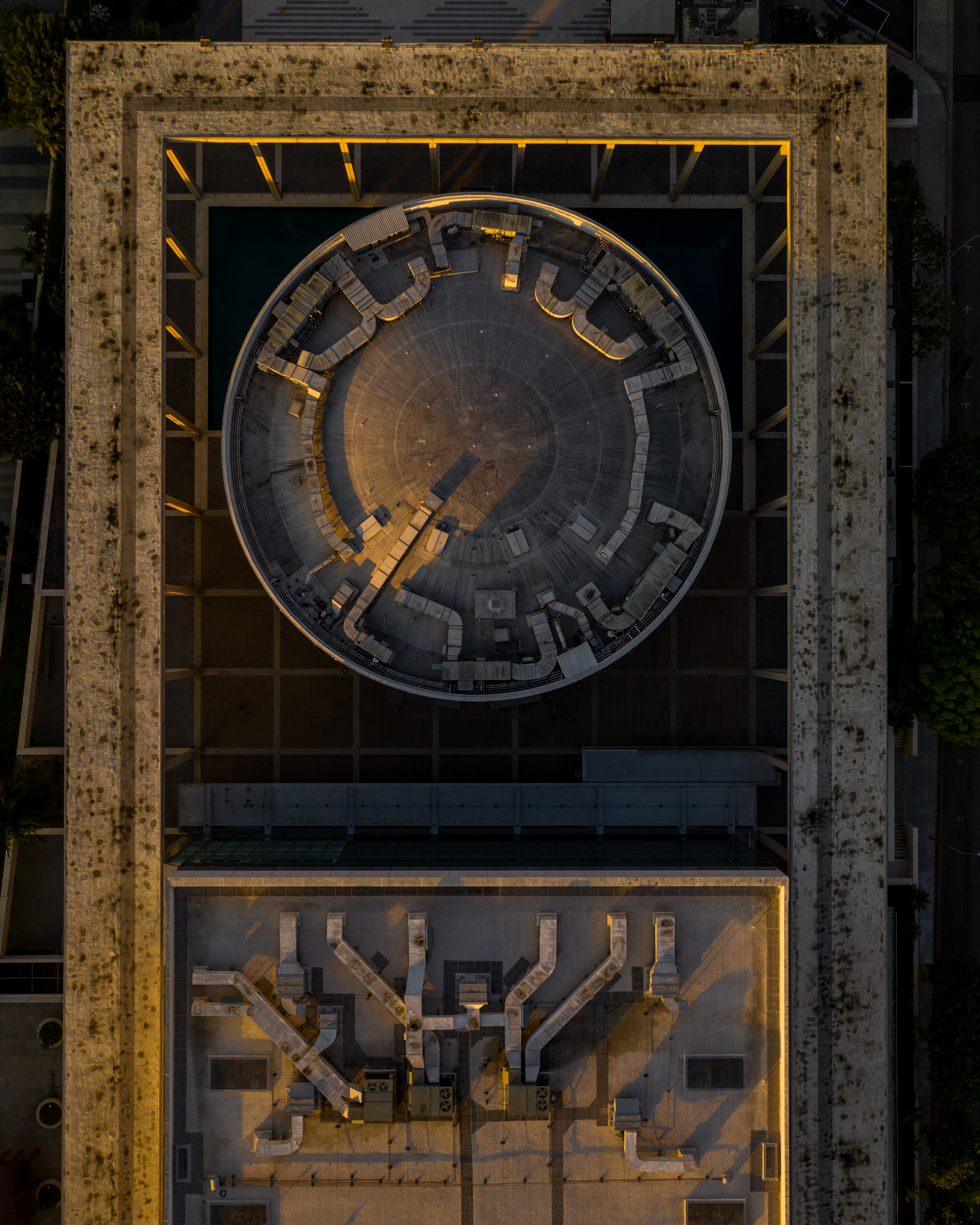 Aerial Art Collector Card #50/50