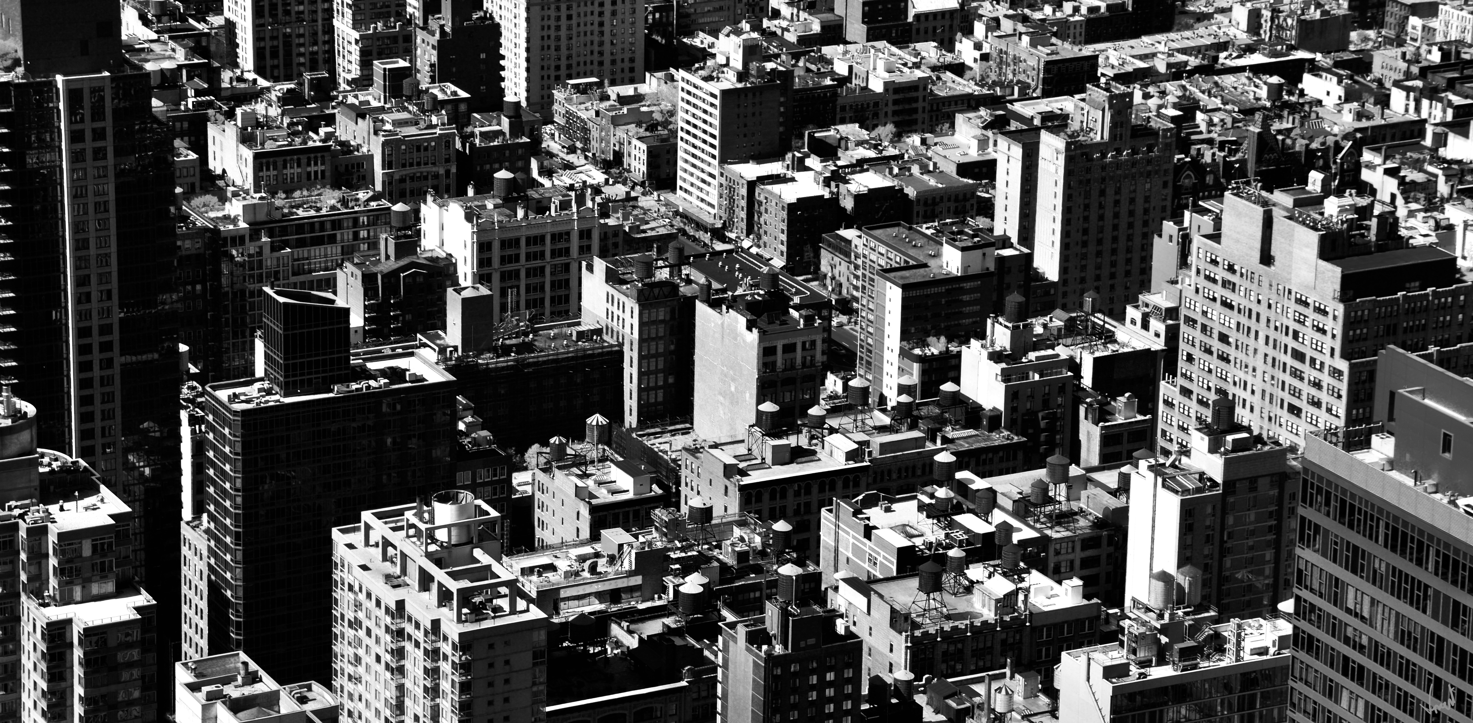 Life Without Color