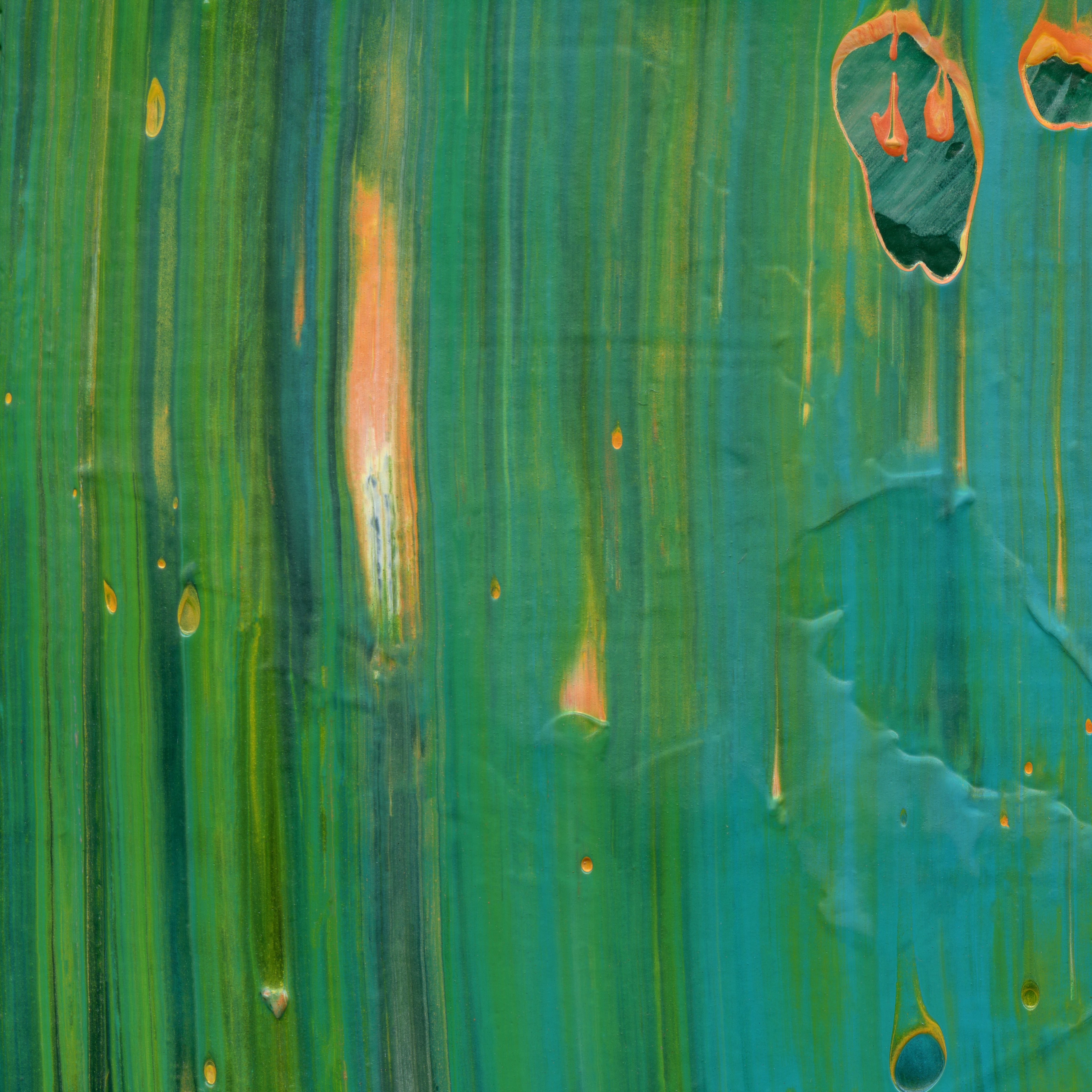 Dodo's Last Hurrah C1