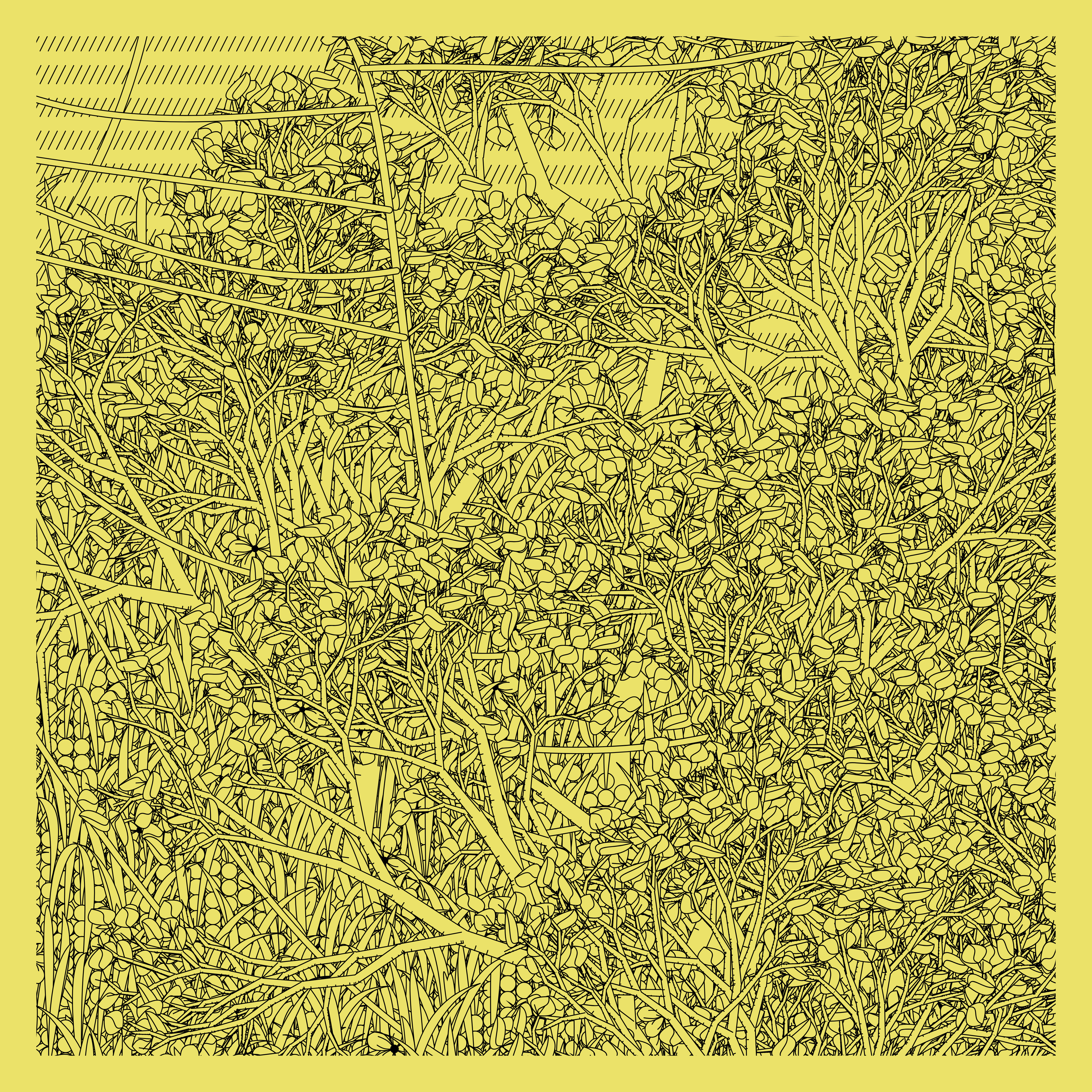 Entangled #405