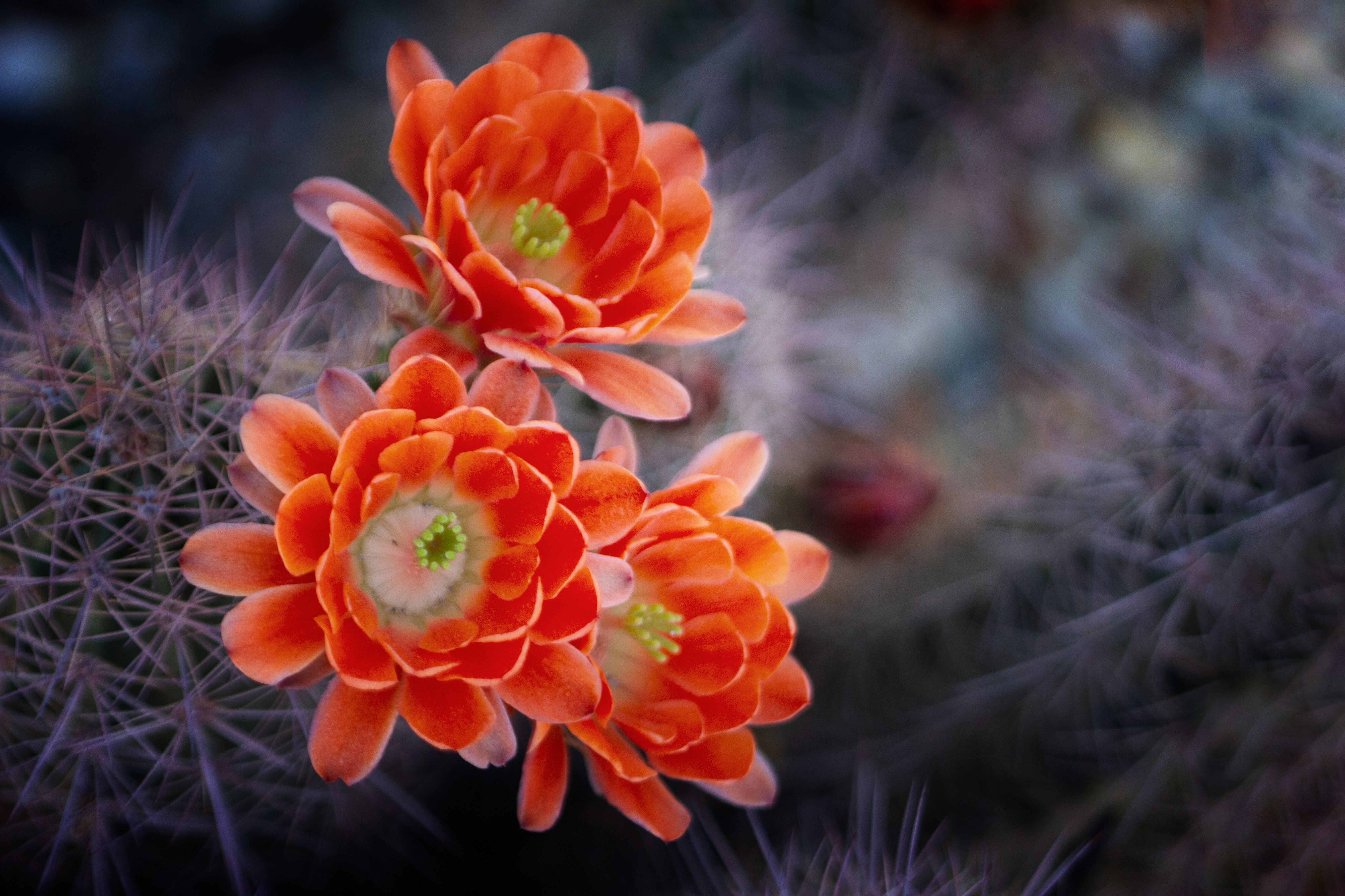 The Best Is Yet to Come