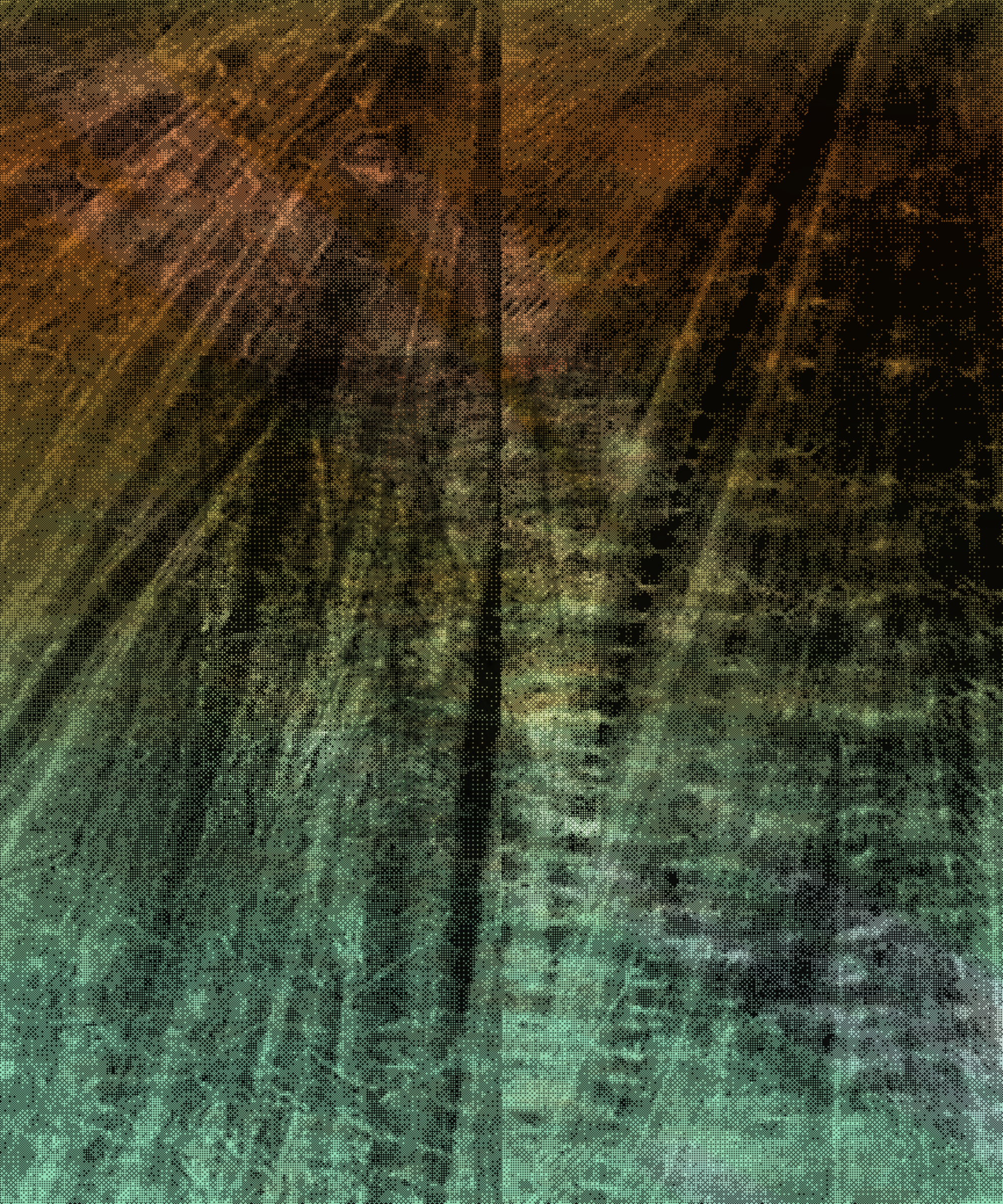 the spring begins with the first rainstorm #425