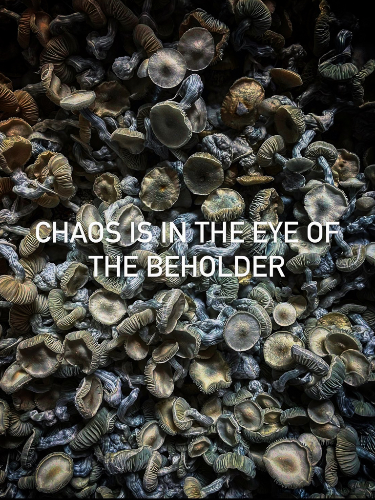 chaos is in the eye of the beholder