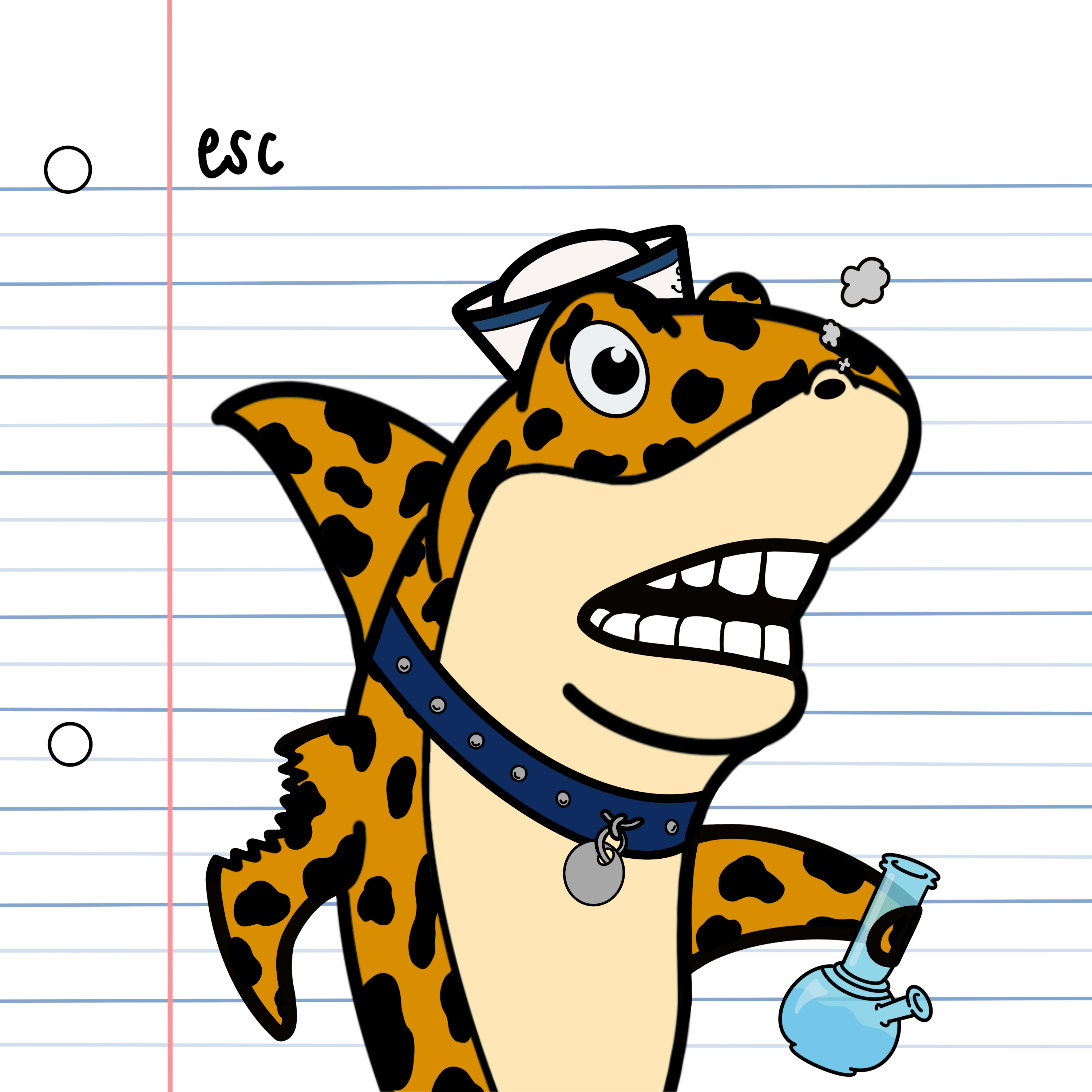 Exclusive Shark #1153