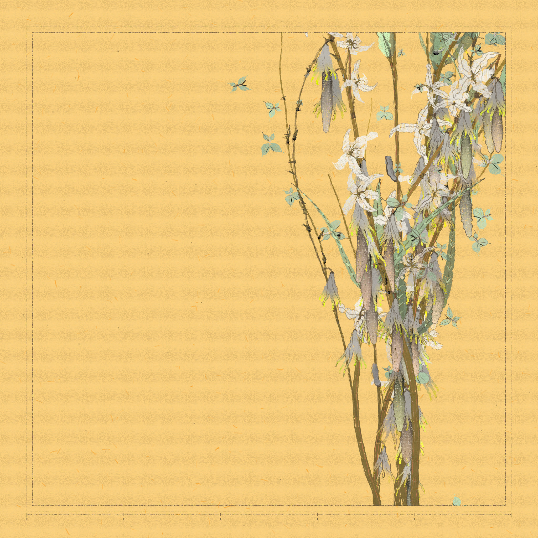 Polypaths | 植徑集 #543