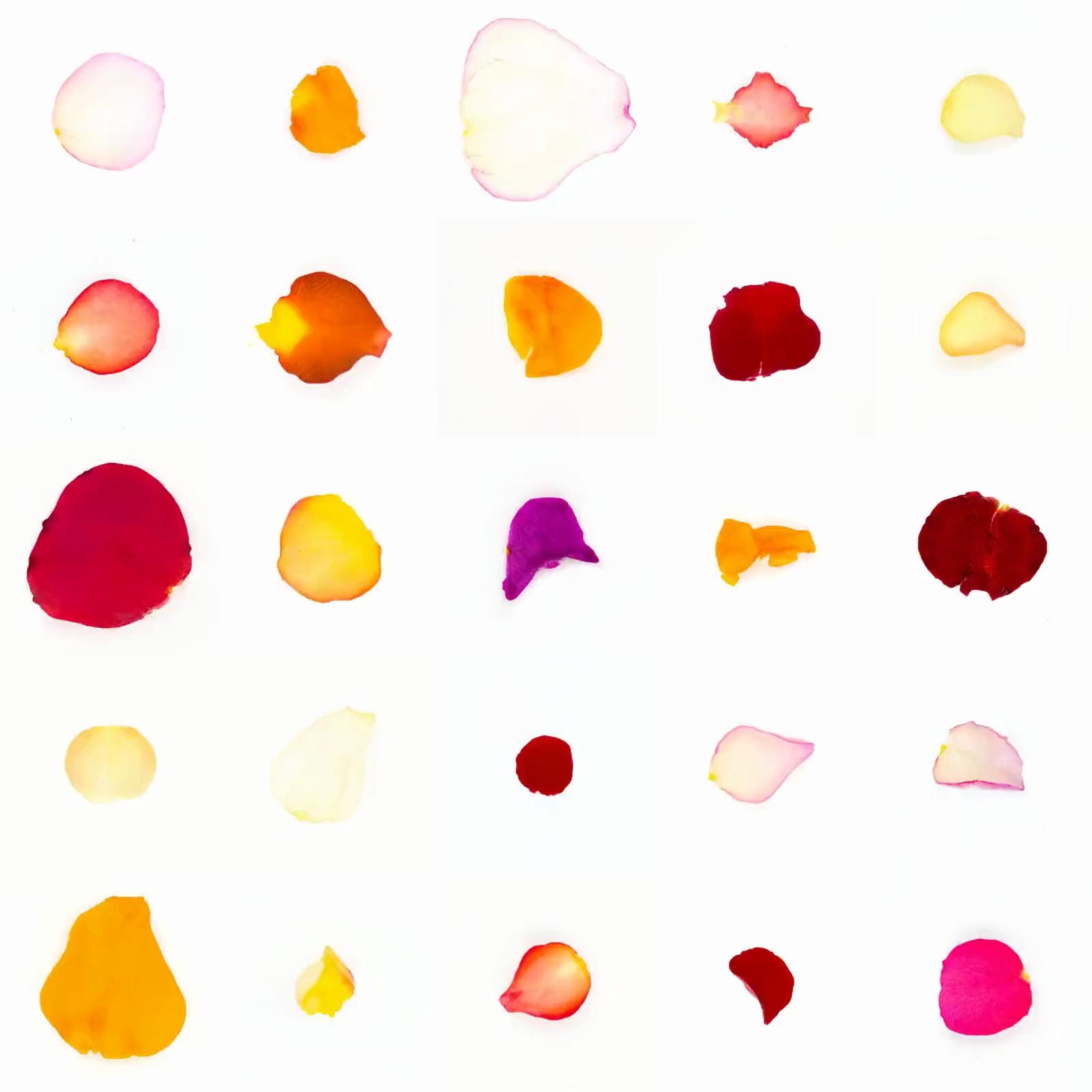 Infinite Petals 5x5#3640