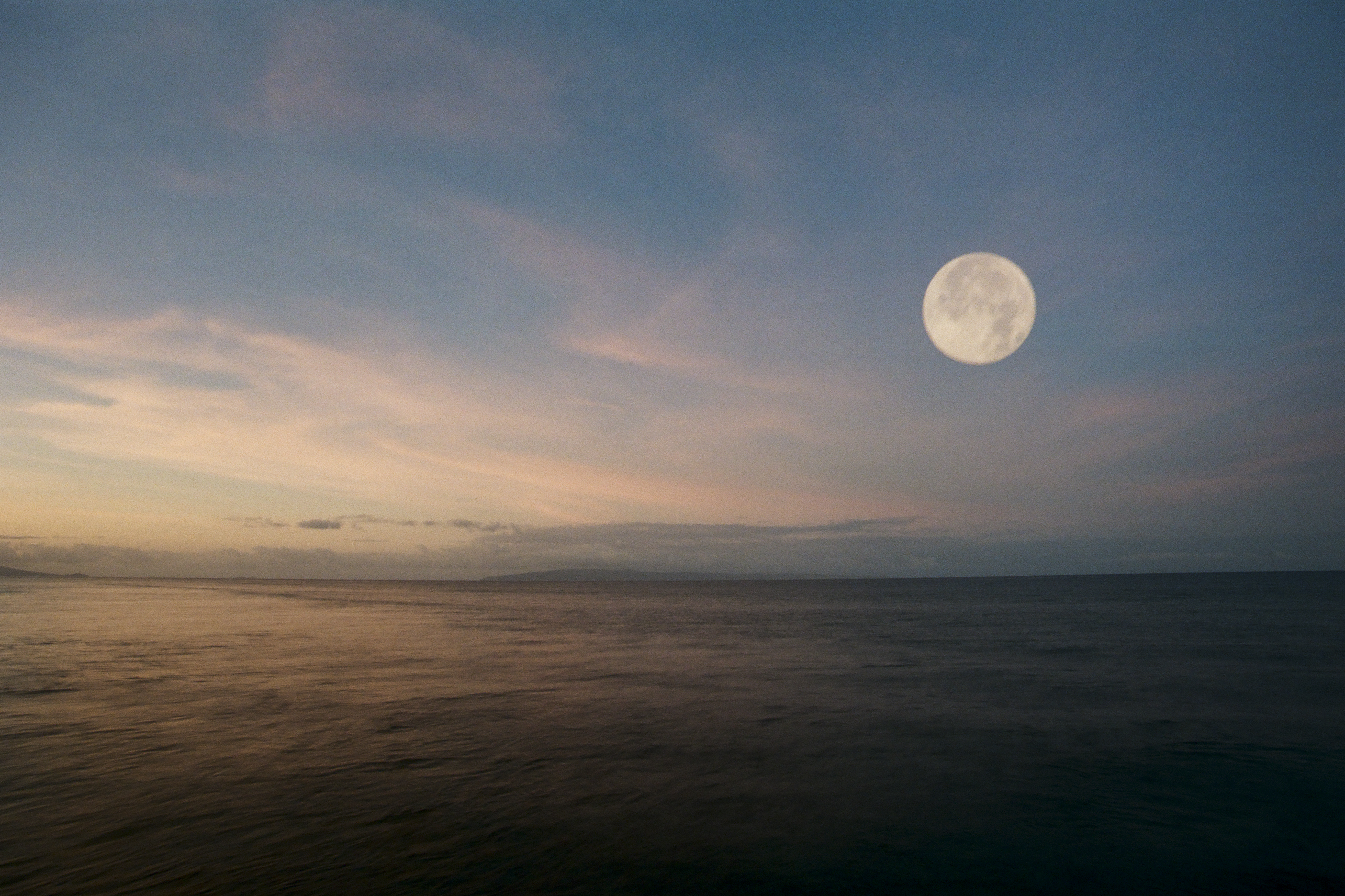 CREATING SPACE || Moonlight Nectar #13/20
