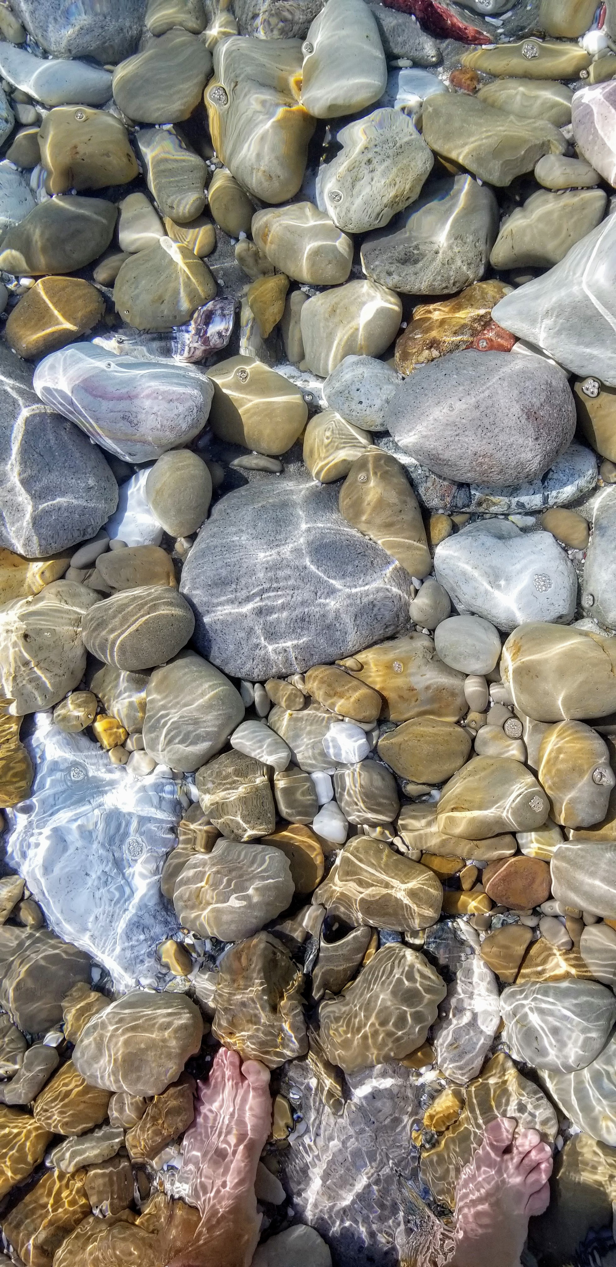 CS Community Collection #585