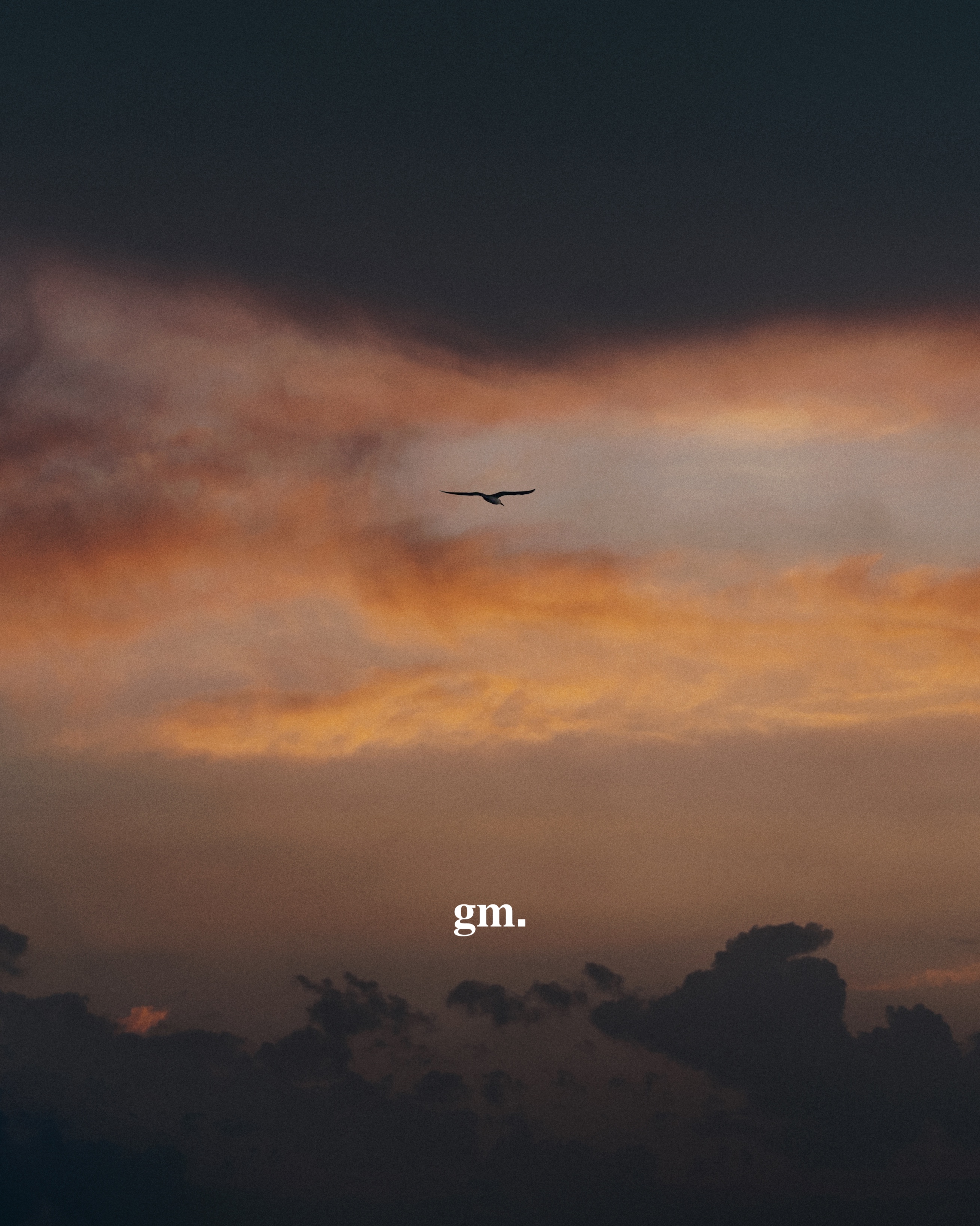 gm.