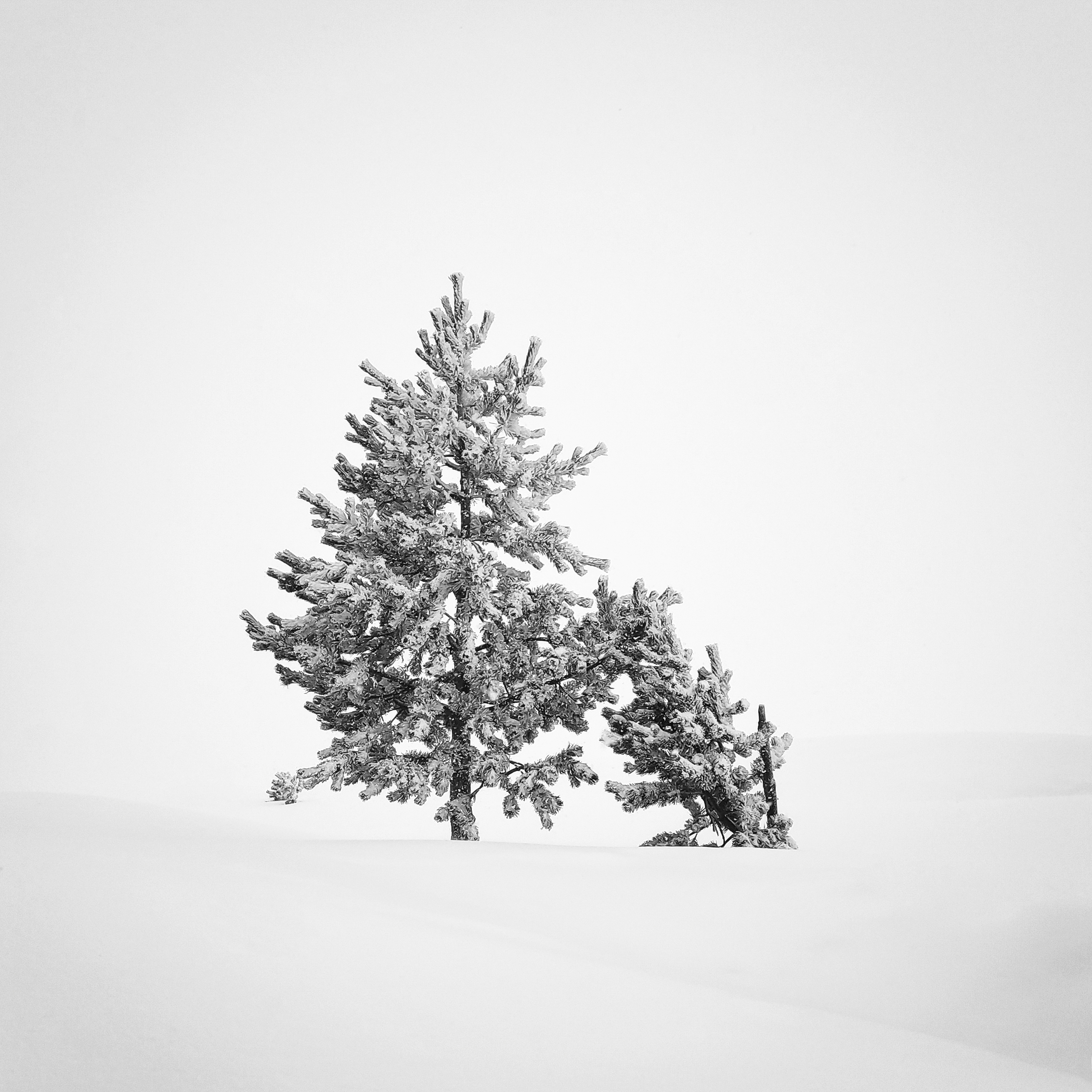 Don’t Drag Me Down