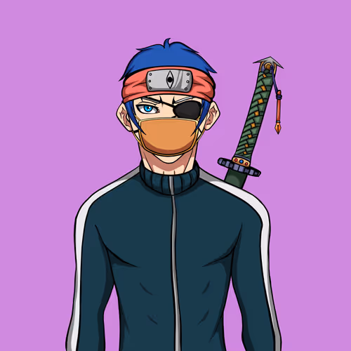 Ninja #3536