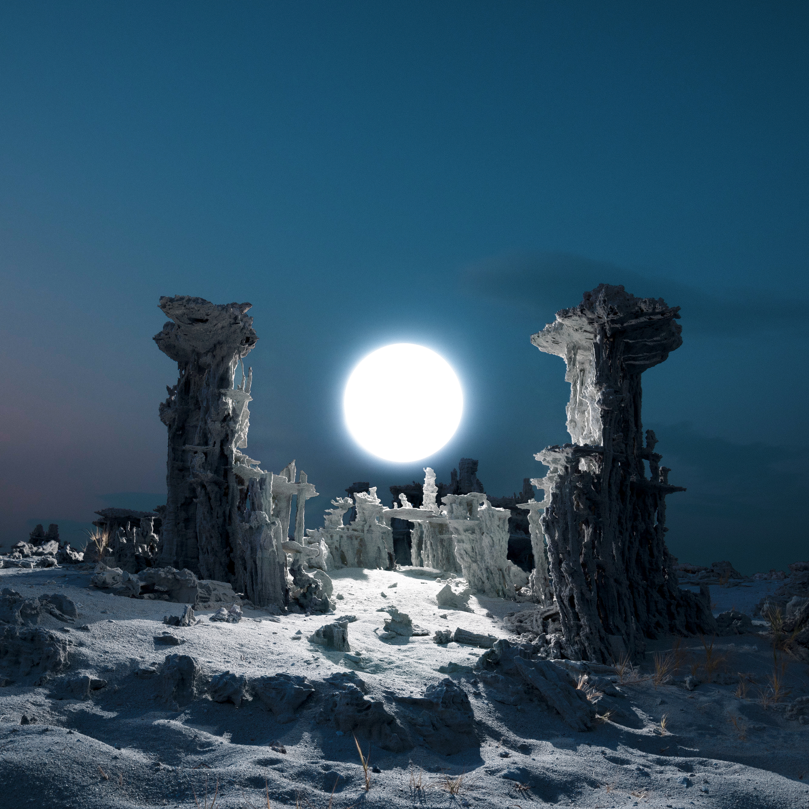 Fourteenth Century Series #171