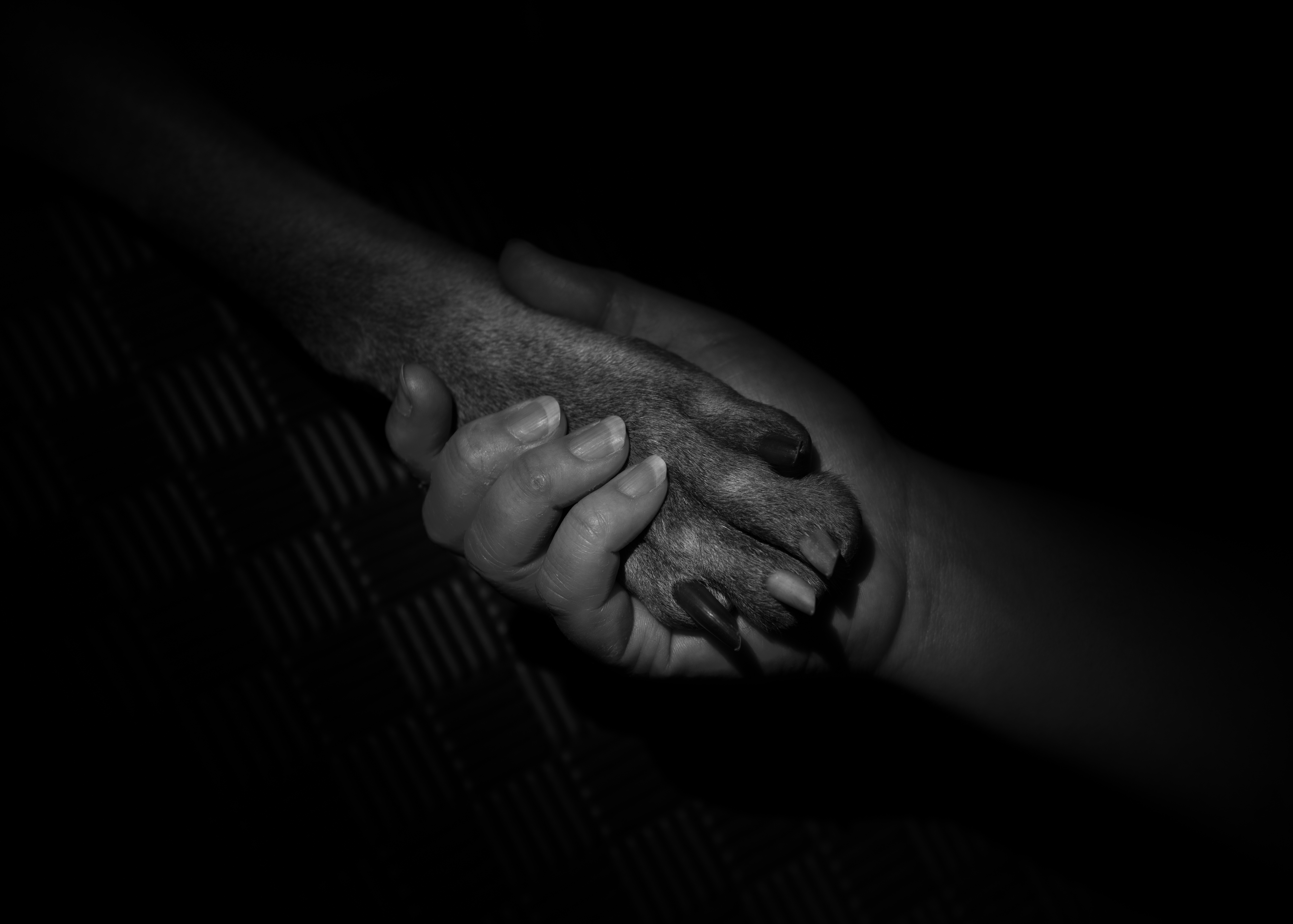 Cancer Won't Take You