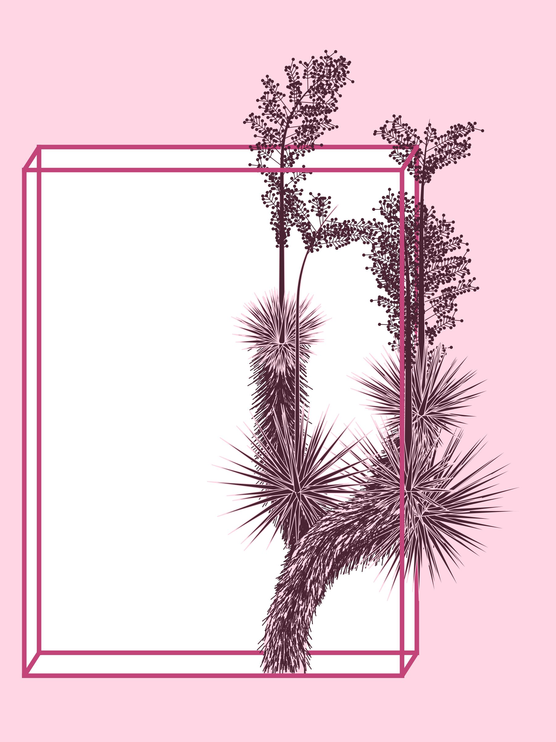 Marfa Yucca #344