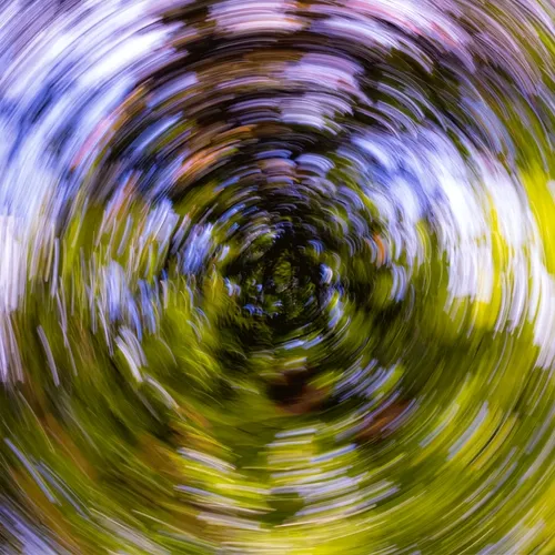 Tree Rings III #18