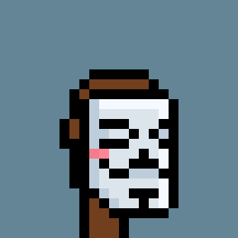 Anonymous Punkz #6900