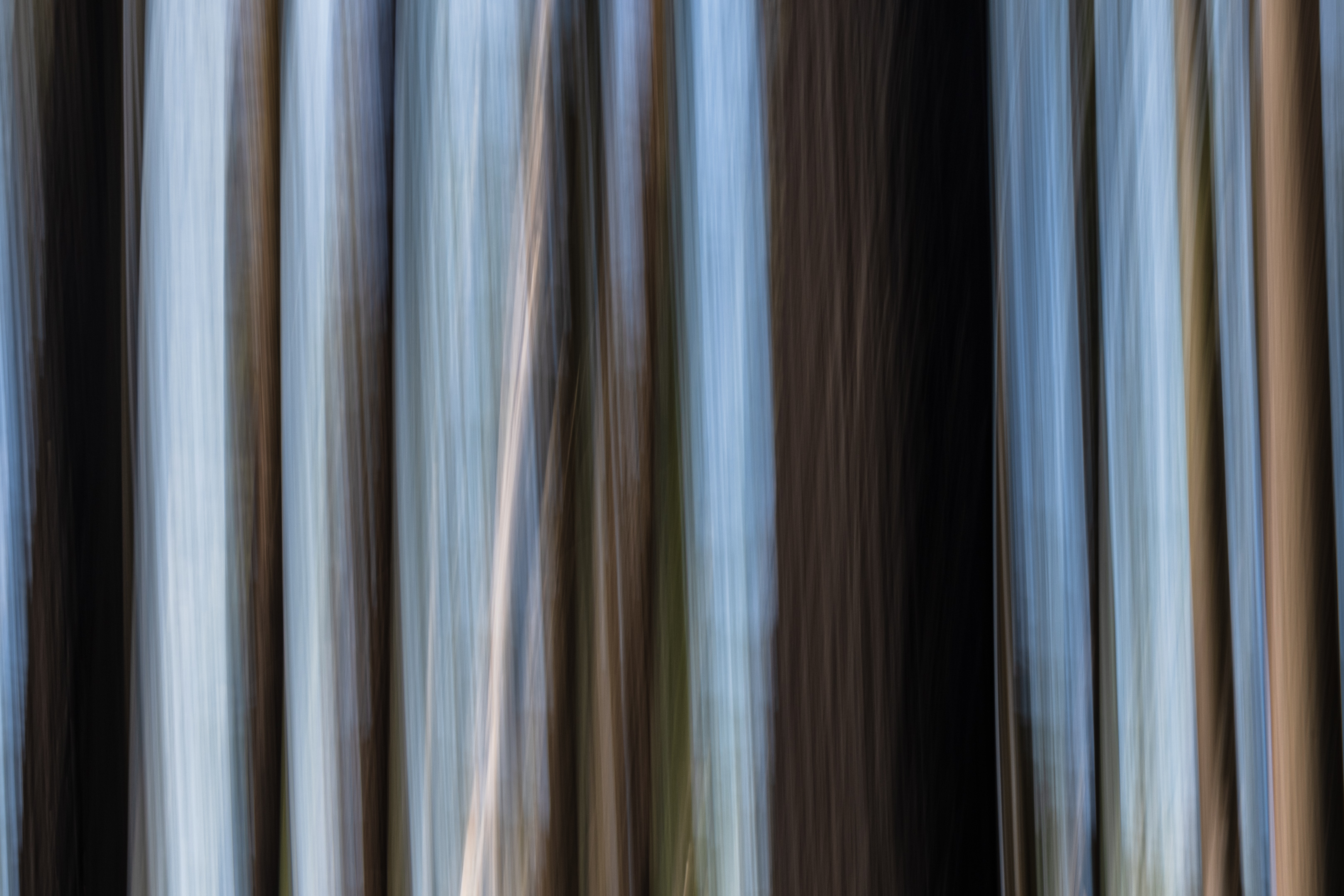 The Ghosts of Elowah #42