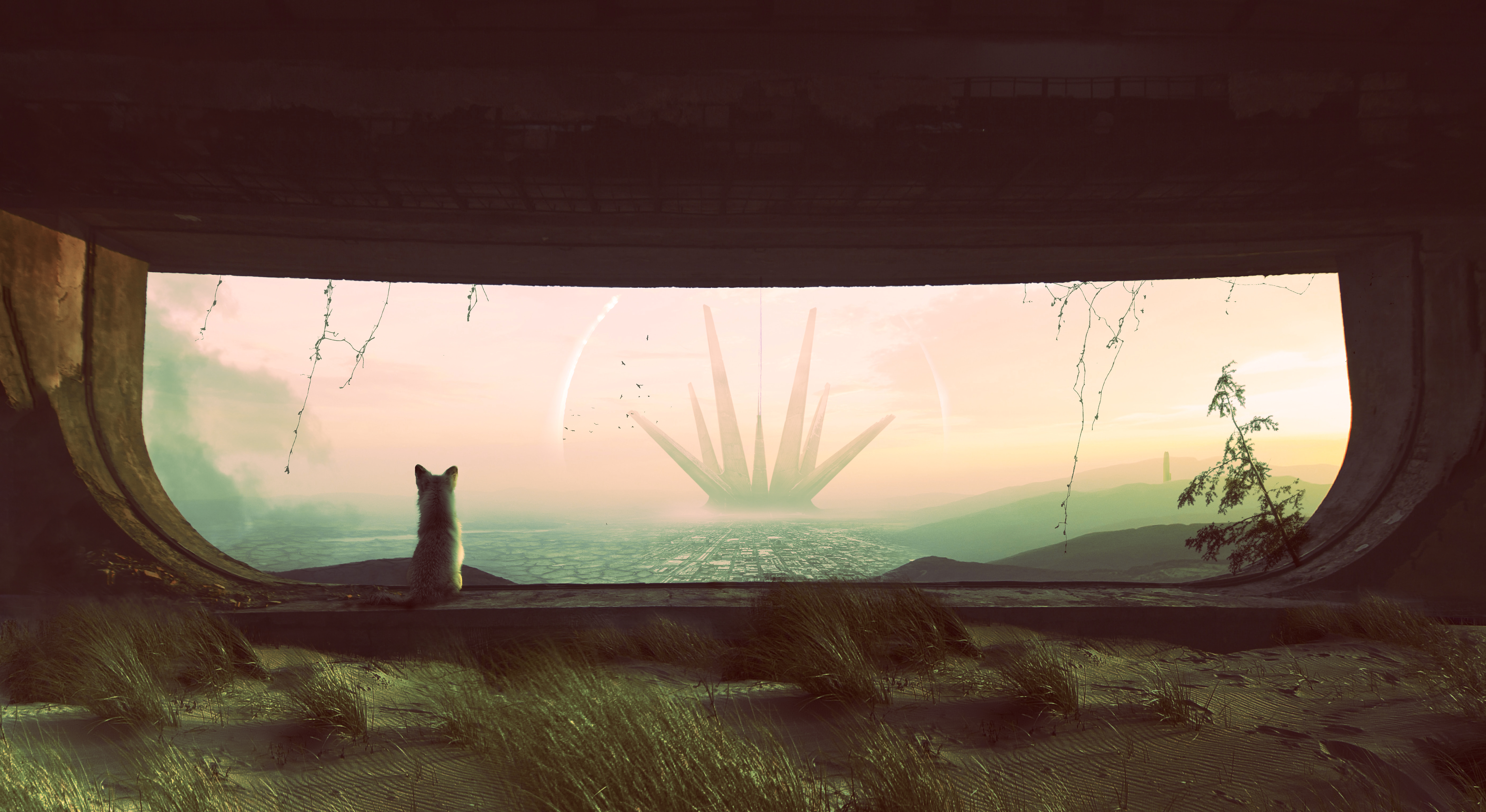 Curiosity